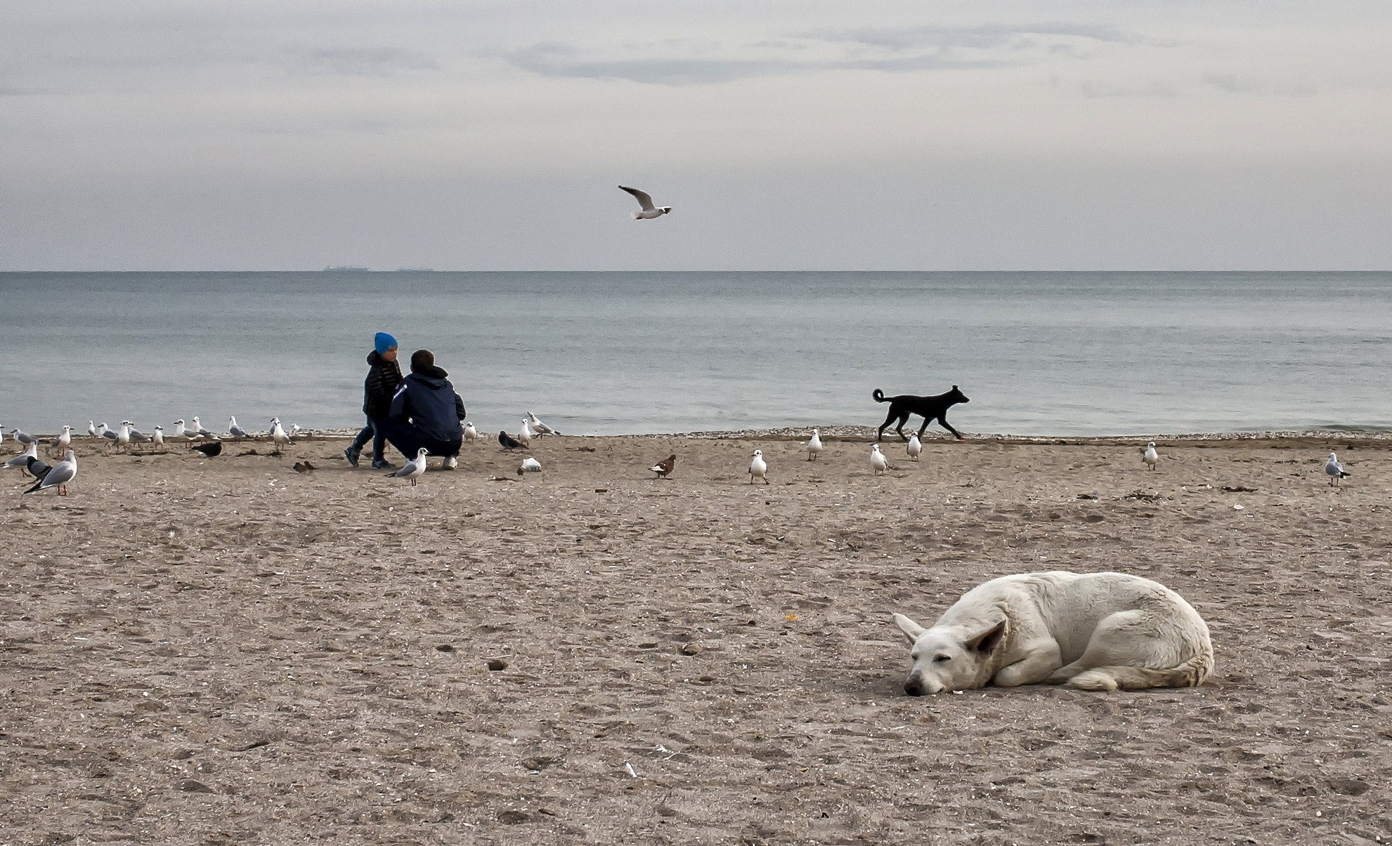 Canon EOS 5D + Canon EF 40mm F2.8 STM sample photo