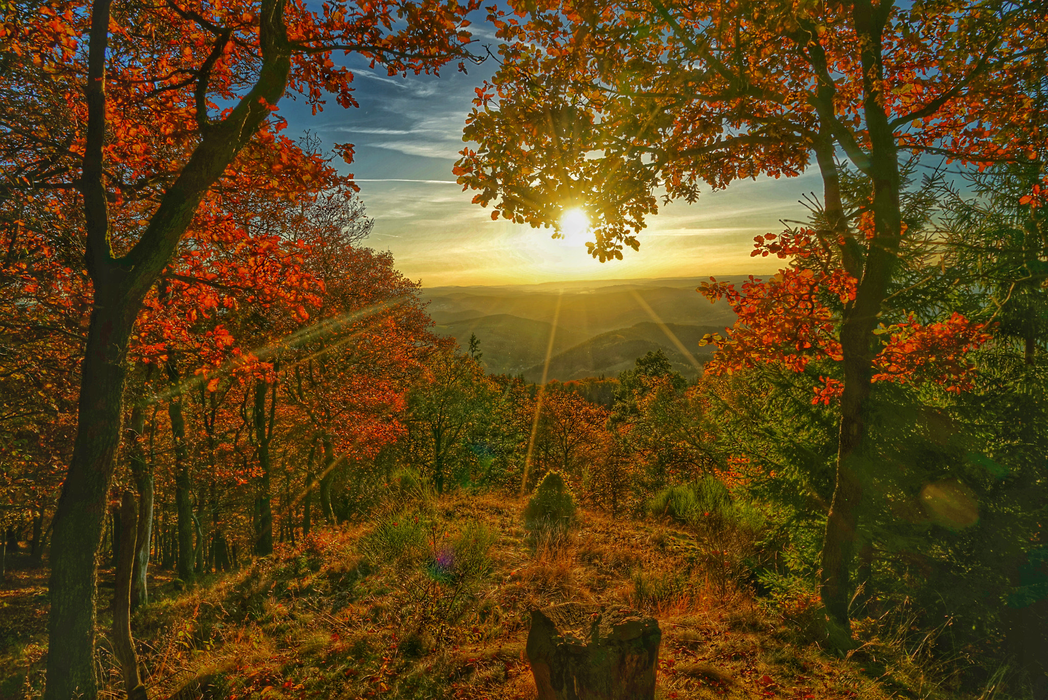 Sony a7R + Sony Vario Tessar T* FE 24-70mm F4 ZA OSS sample photo. Herbstwanderung zur hohen warte photography