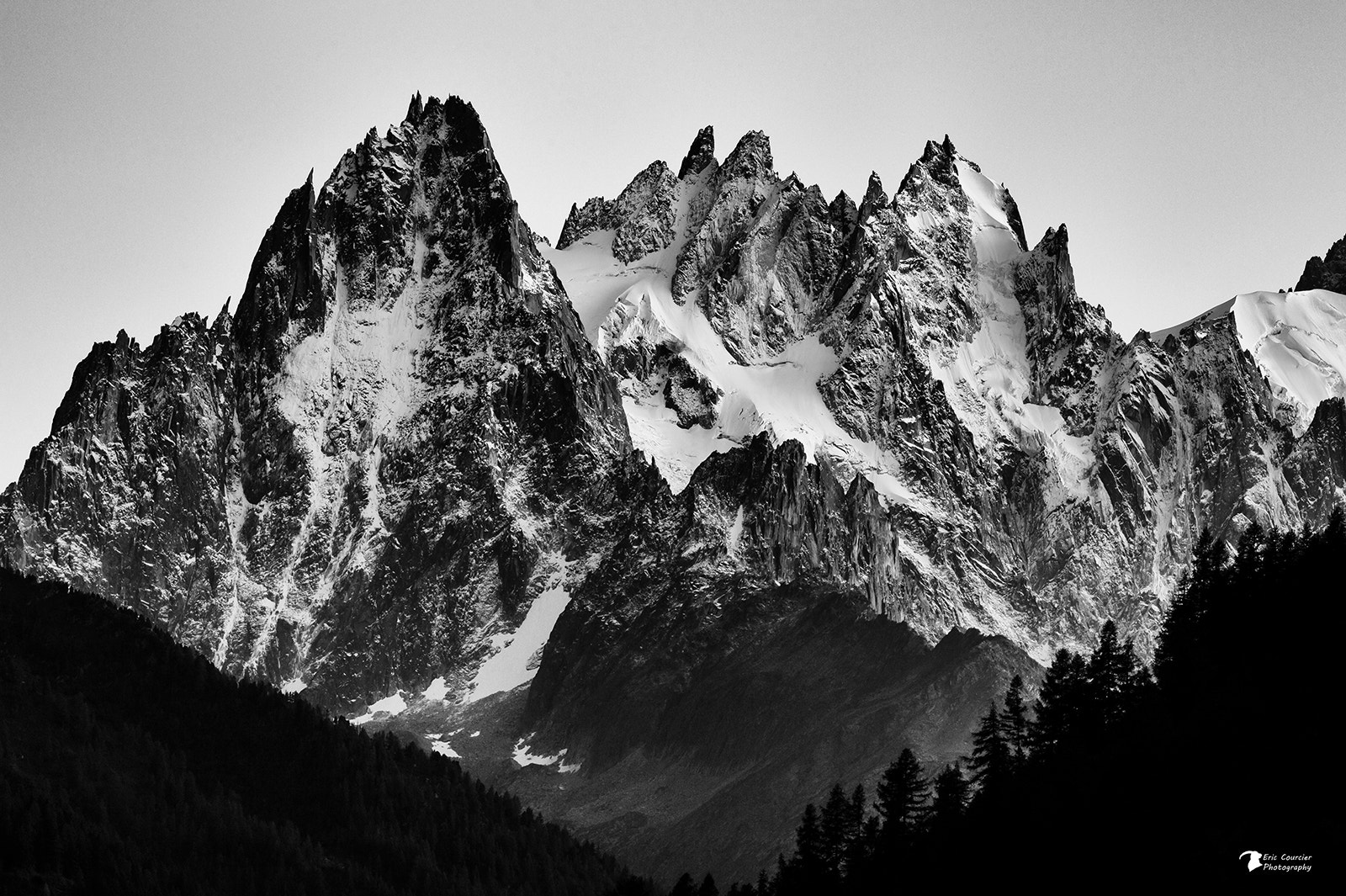 Nikon AF-S Nikkor 200-500mm F5.6E ED VR sample photo. Black & white photography