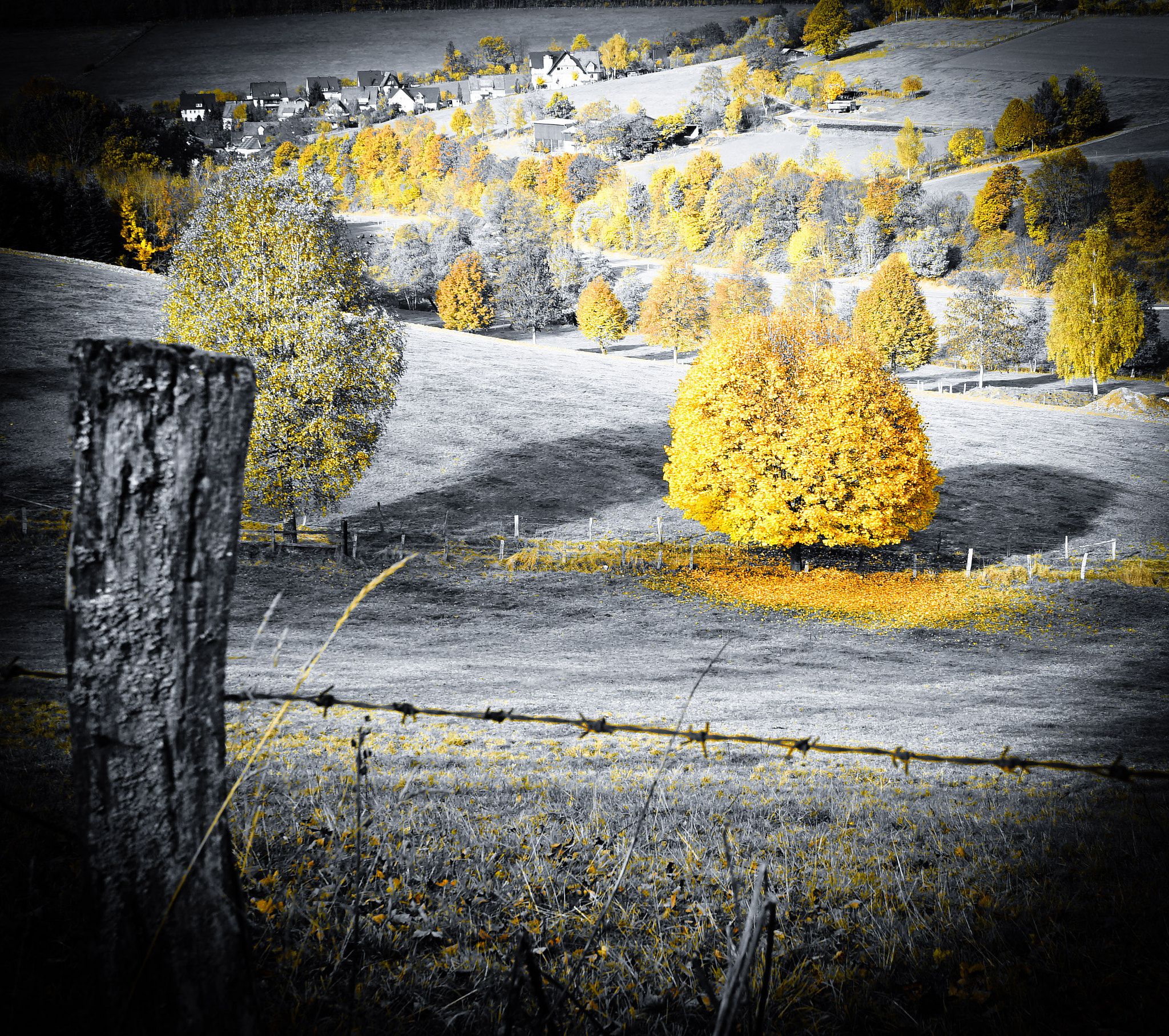 Sony a7 II + Sony E 30mm F3.5 Macro sample photo. Herbst im sauerland  photography