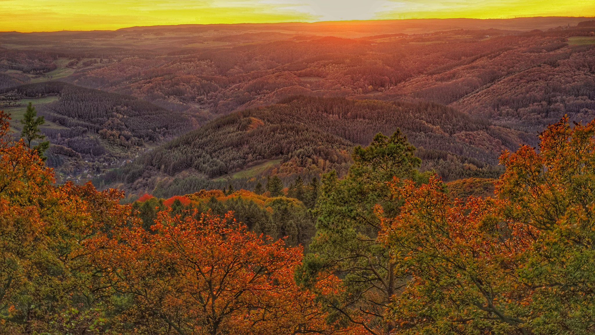Sony a7R + Sony Vario Tessar T* FE 24-70mm F4 ZA OSS sample photo. Hohe warte photography