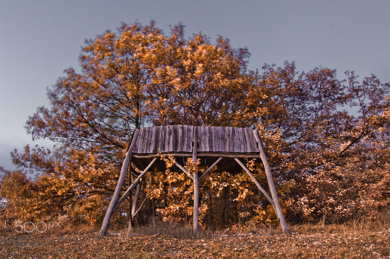 Canon EF 16-35mm F2.8L II USM sample photo. Wind photography
