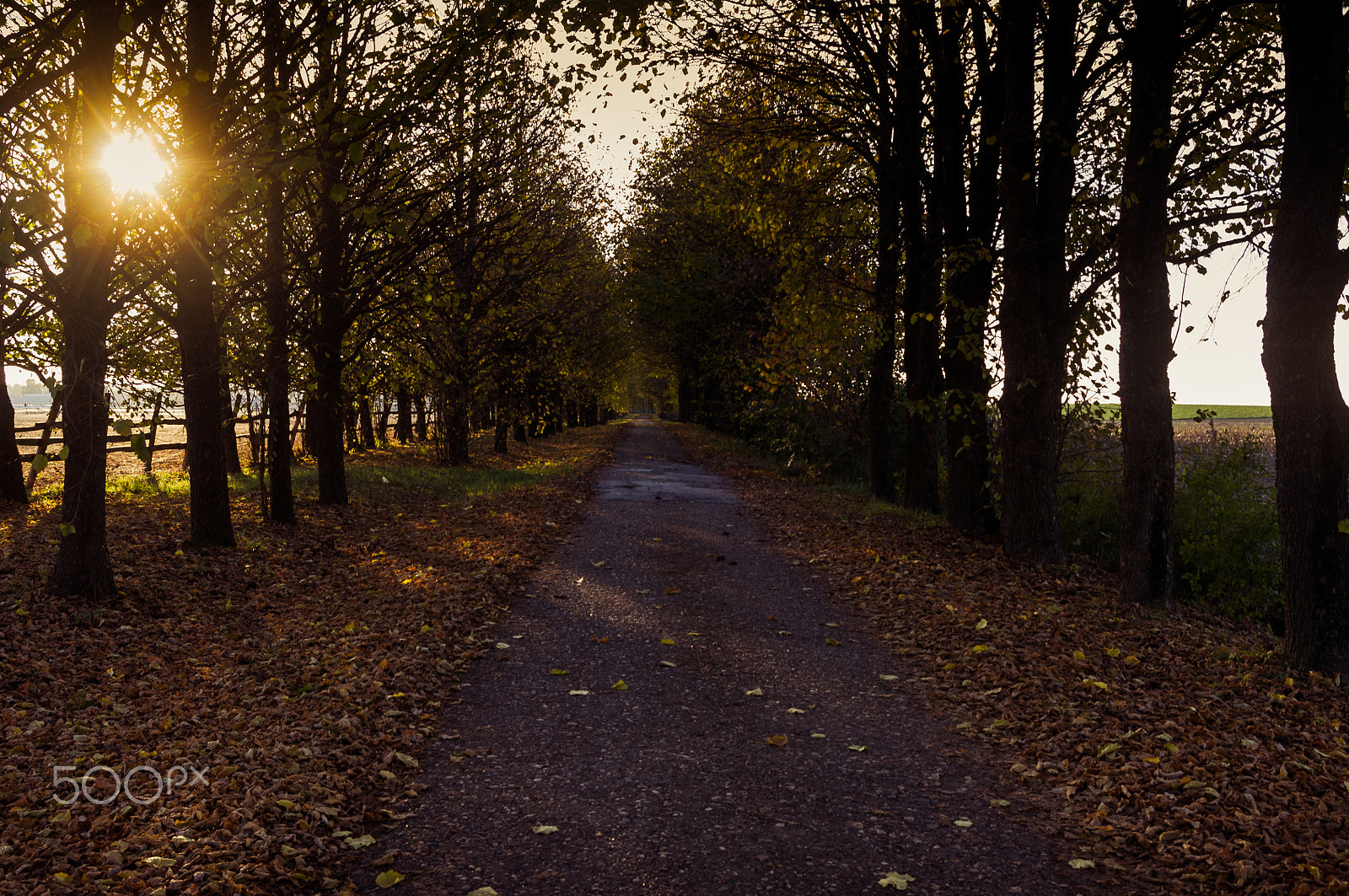 Pentax smc DA 18-55mm F3.5-5.6 AL WR sample photo. Autumn photography