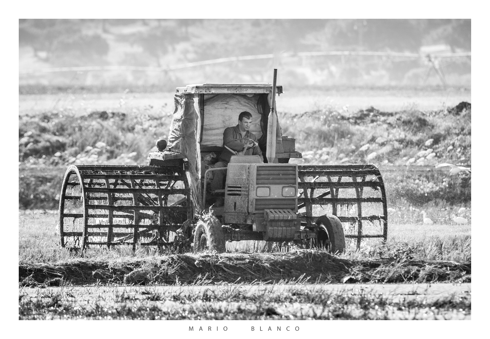 Tamron SP 150-600mm F5-6.3 Di VC USD sample photo. Working the field photography