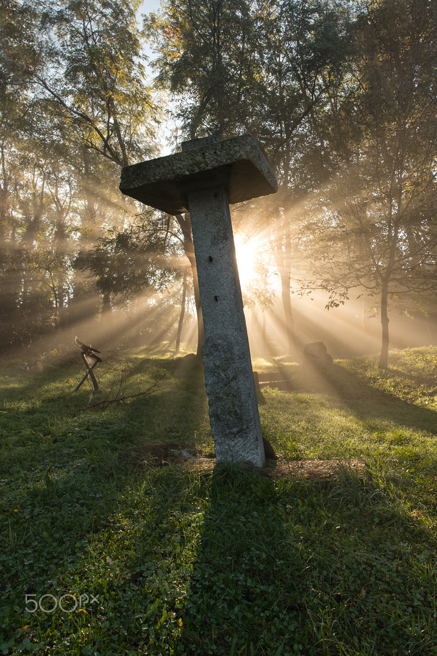 Sigma 20mm F1.8 EX DG Aspherical RF sample photo. Art in autumn photography