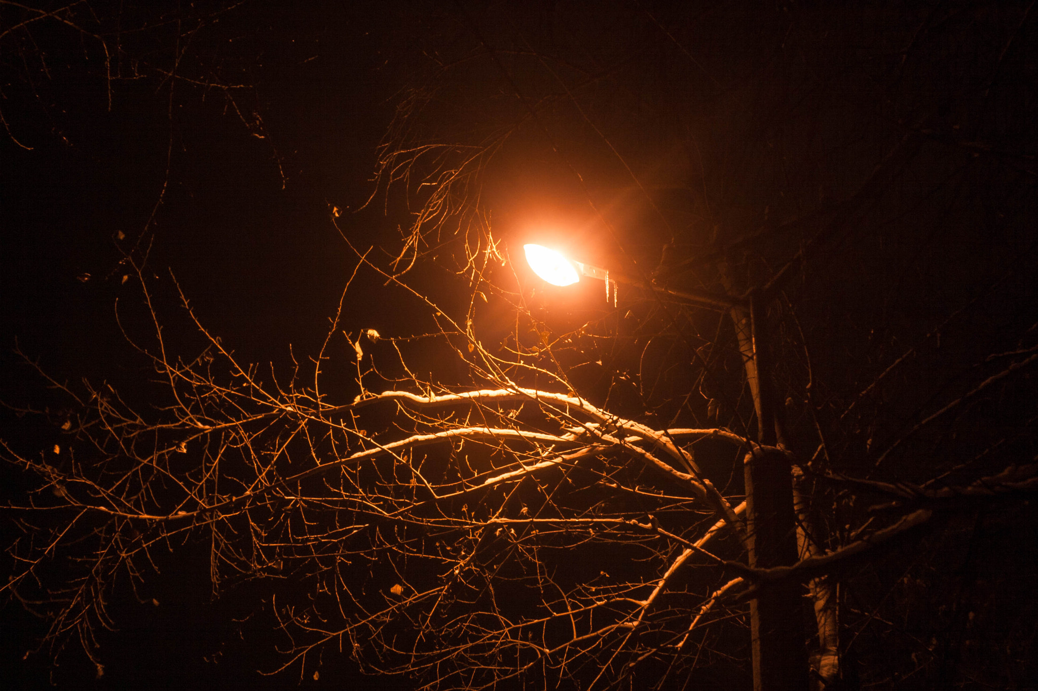 Canon EF 35-80mm f/4-5.6 sample photo. It's oh so quiet photography