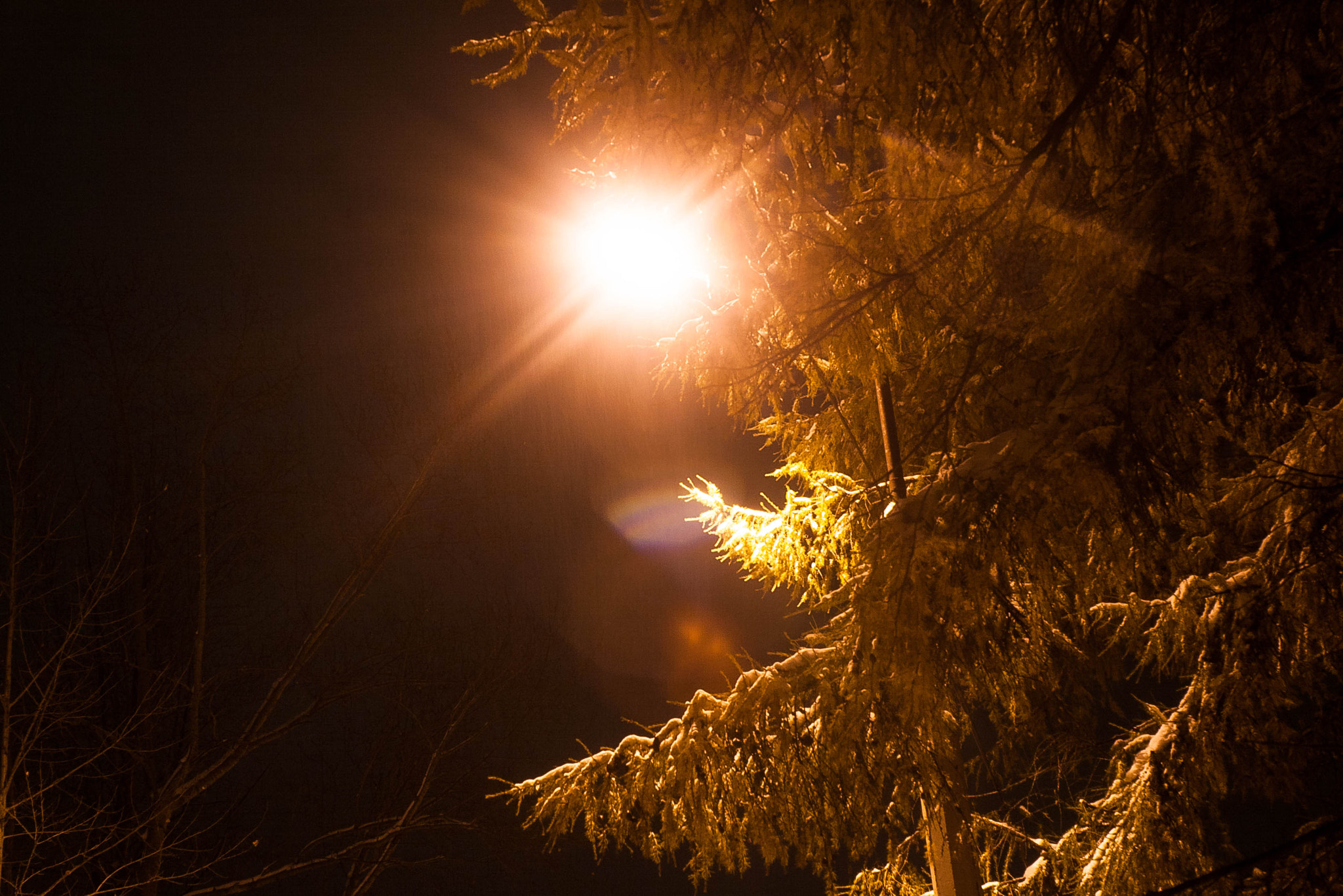 Canon EF 35-80mm f/4-5.6 sample photo. It's oh so quiet photography