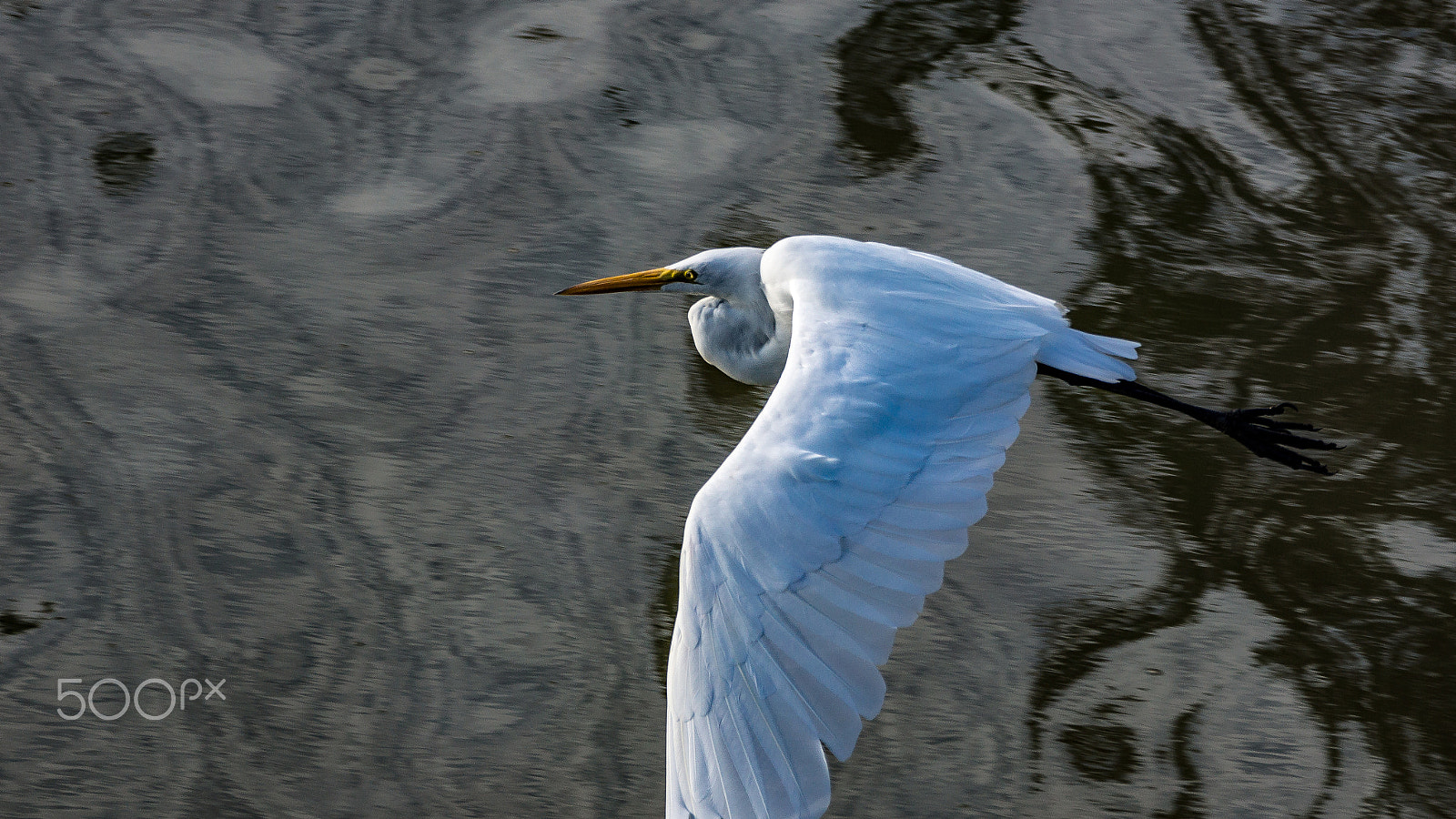 Sony 70-300mm F4.5-5.6 G SSM sample photo. Moire photography