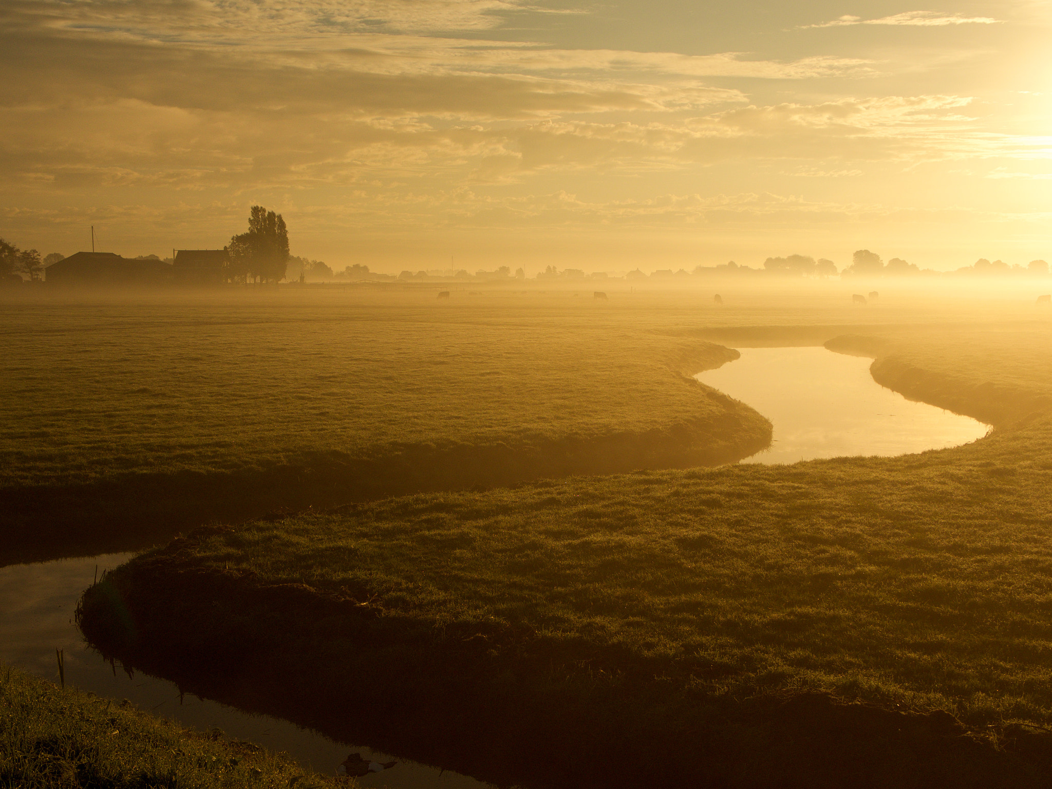 Olympus OM-D E-M1 + LUMIX G 25/F1.7 sample photo. Dutch landscape photography