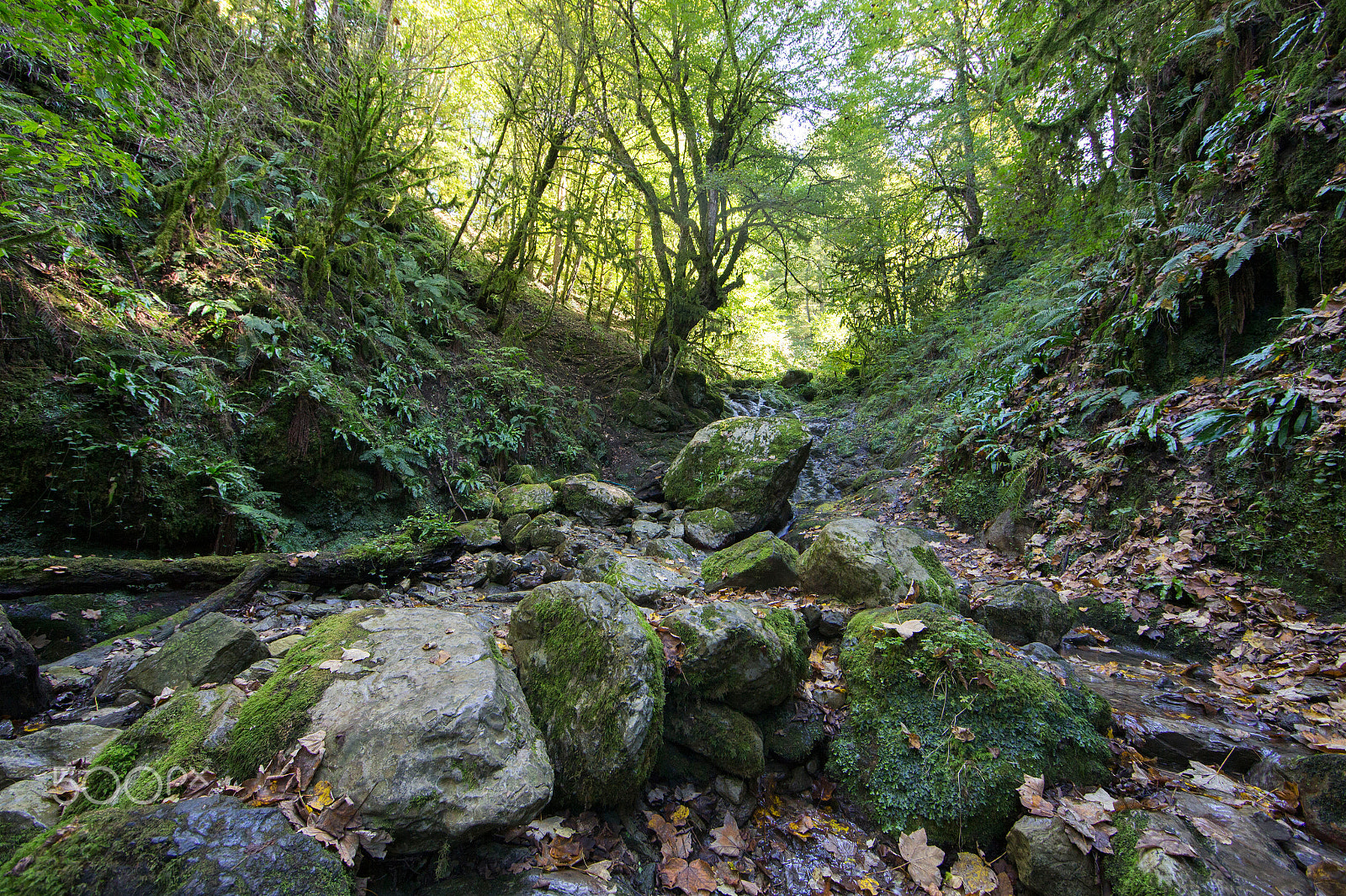 Canon EF 14mm F2.8L II USM sample photo. Apw photography