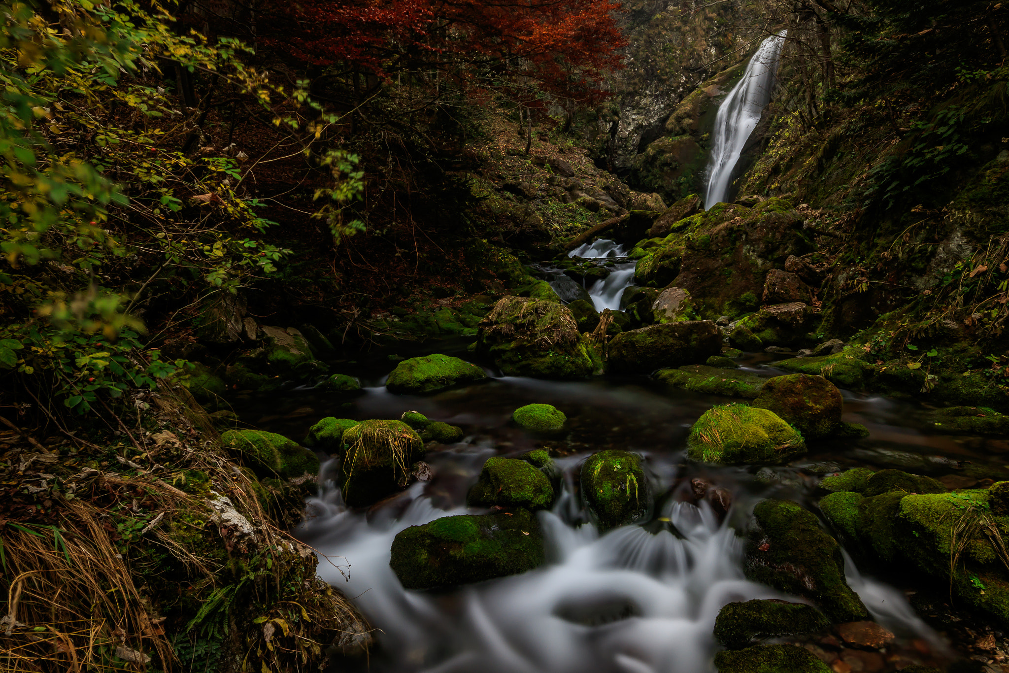 Sigma 10-20mm F4-5.6 EX DC HSM sample photo. Autumn photography