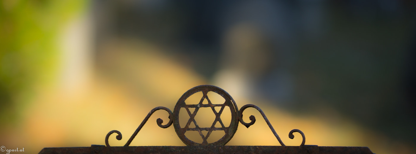 Sony a99 II + Minolta/Sony AF 70-200mm F2.8 G sample photo. Old jewisch cemetary in vienna photography
