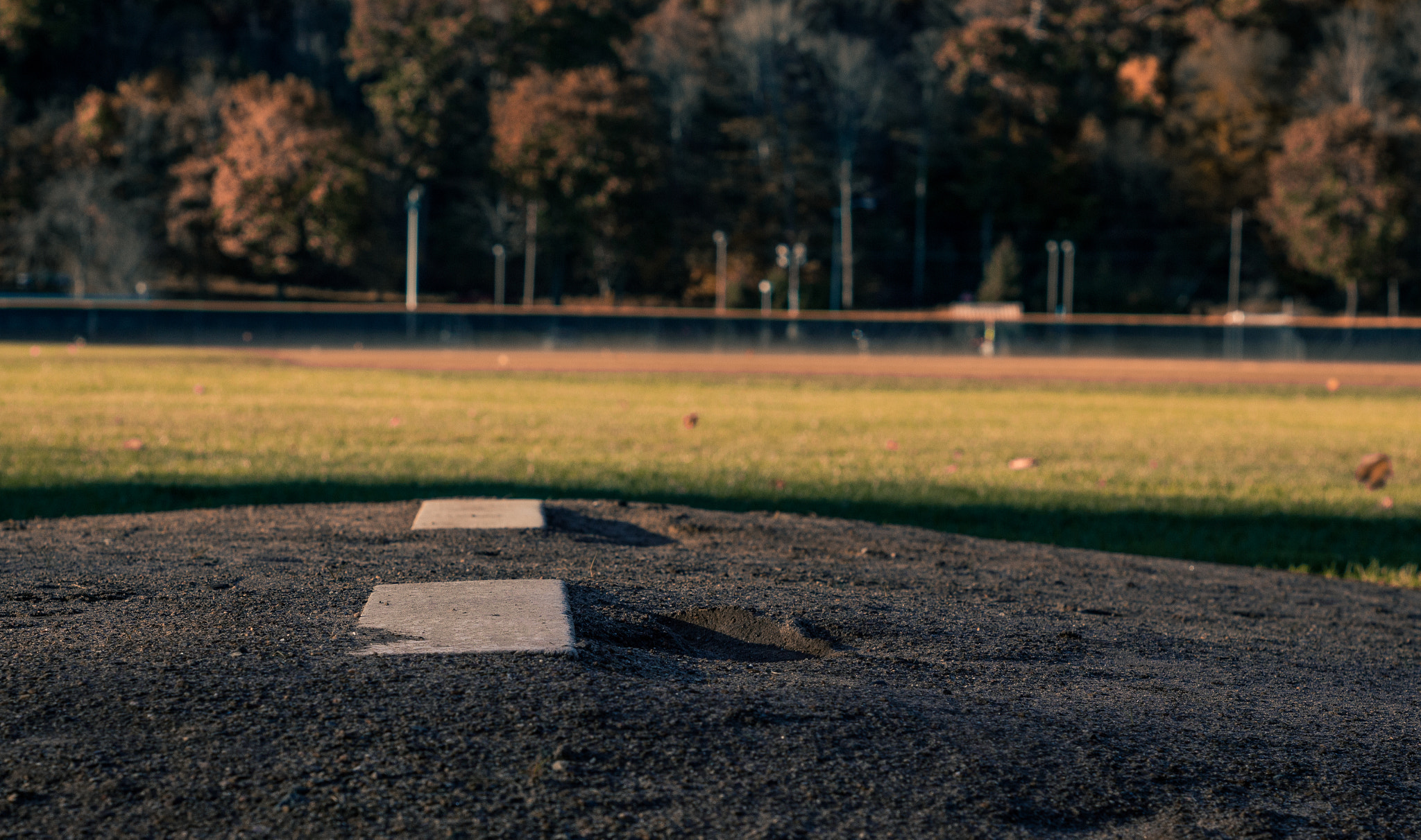 Canon EOS 700D (EOS Rebel T5i / EOS Kiss X7i) sample photo. Bullpen photography
