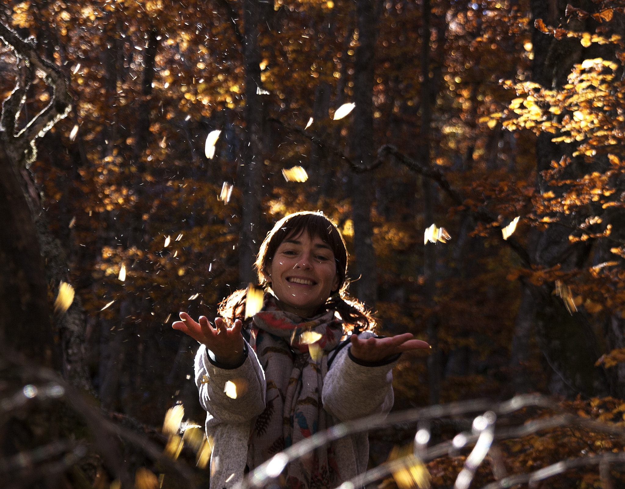 Sigma 18-200mm f/3.5-6.3 DC OS sample photo. Chispas de luz en el bosque photography
