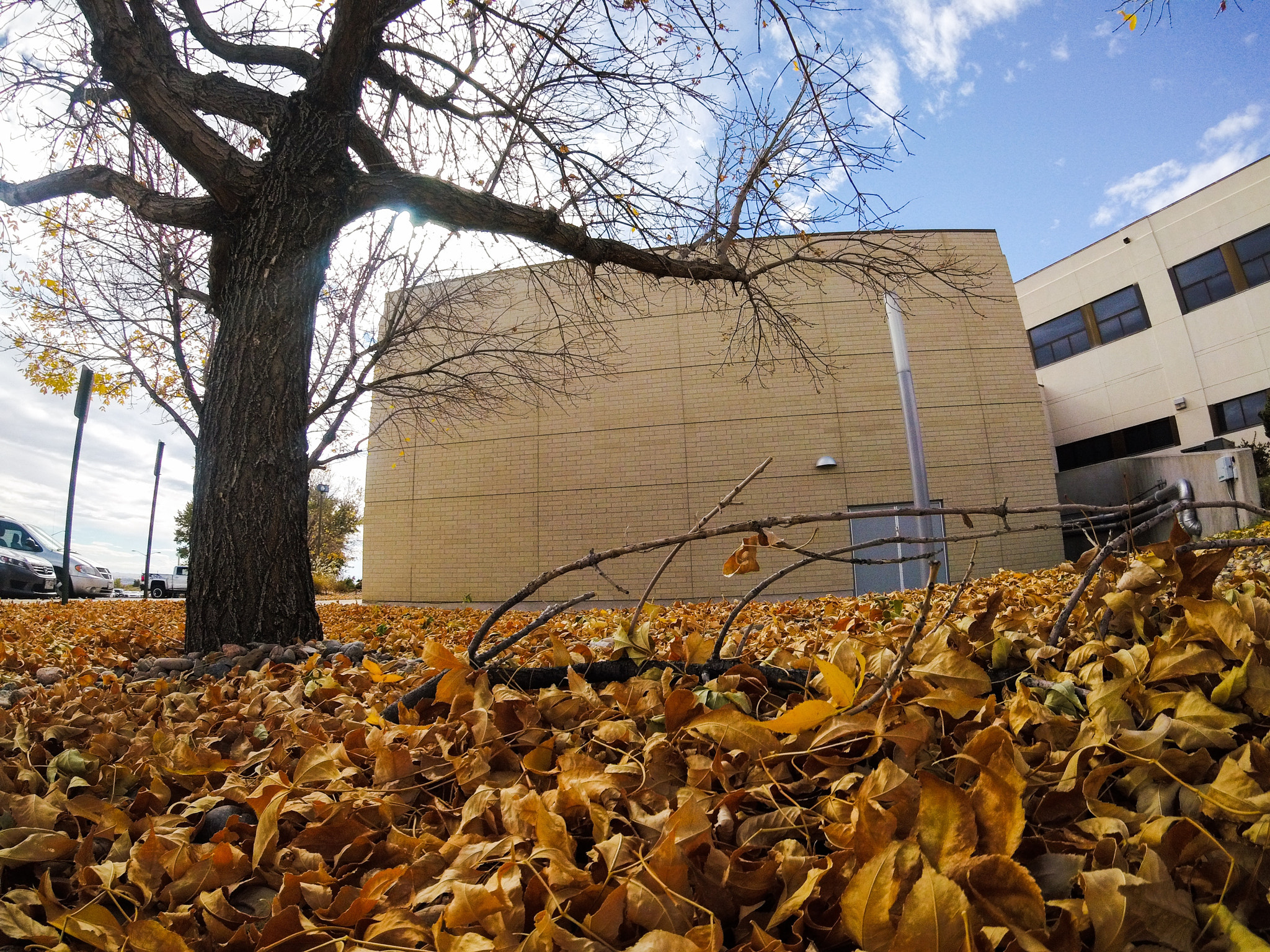 GoPro HERO5 Session sample photo