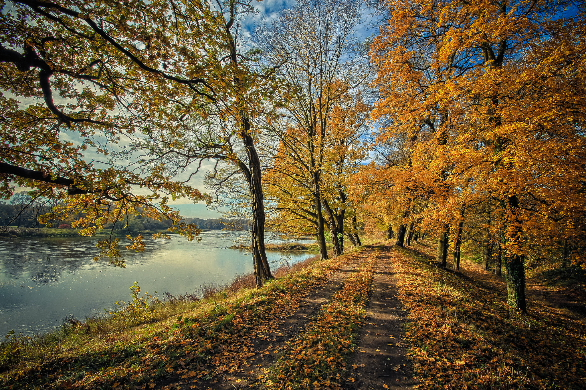 10.0 - 20.0 mm sample photo. Gold odra photography