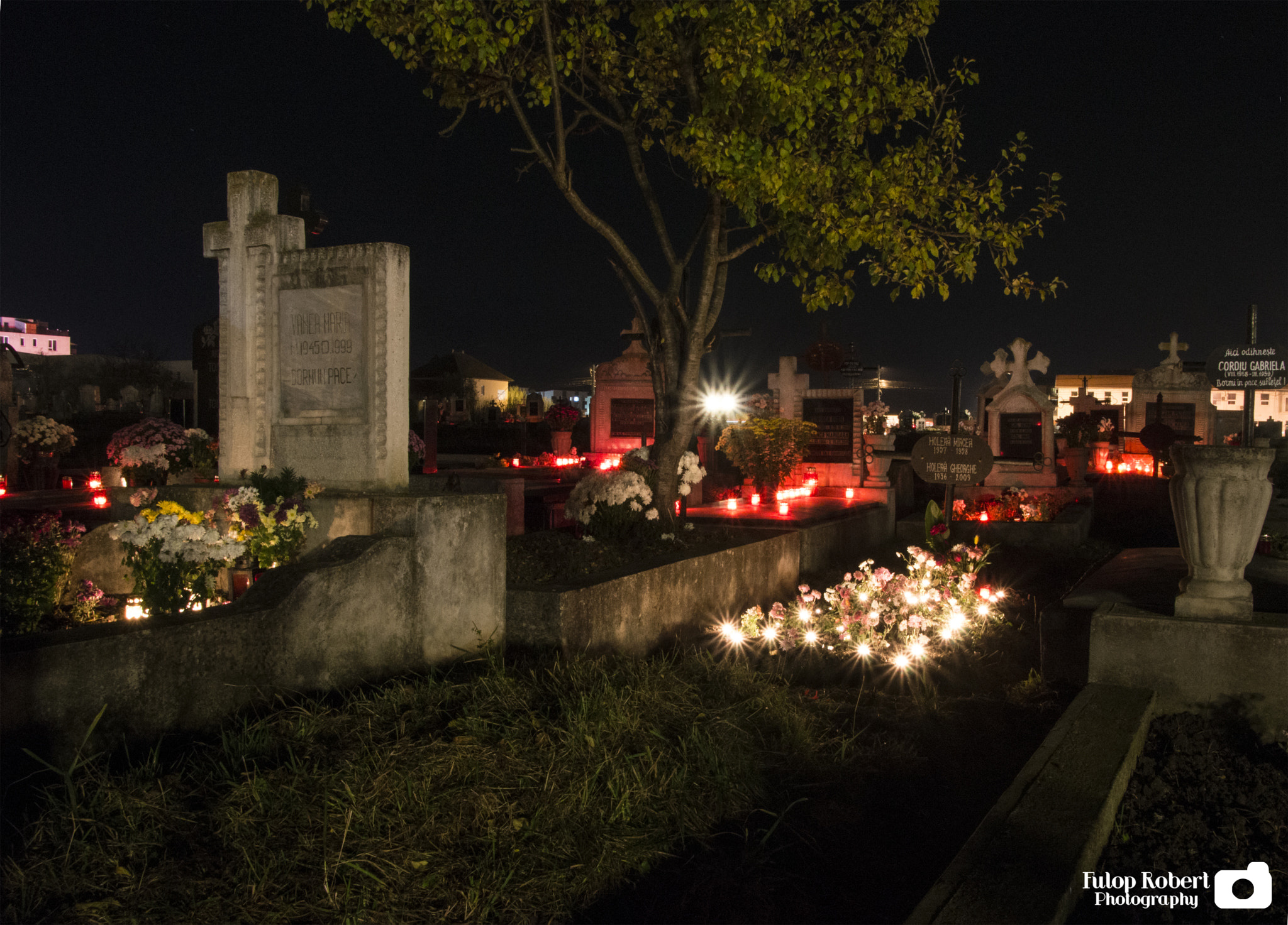 Nikon D3200 sample photo. Halloween night in cemetery photography