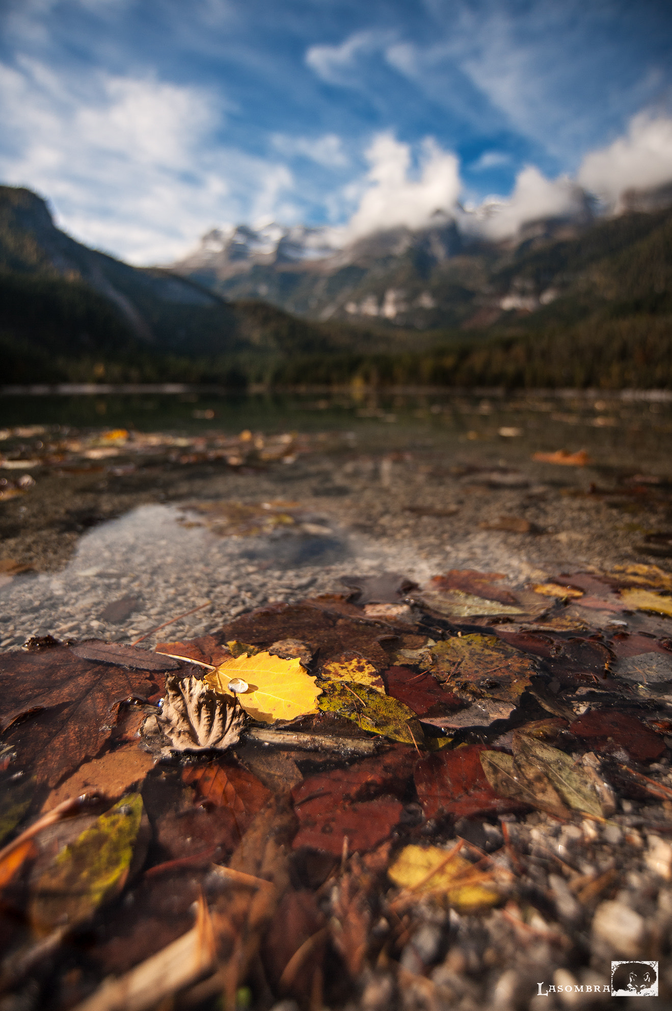 Nikon D3 sample photo. The drop photography