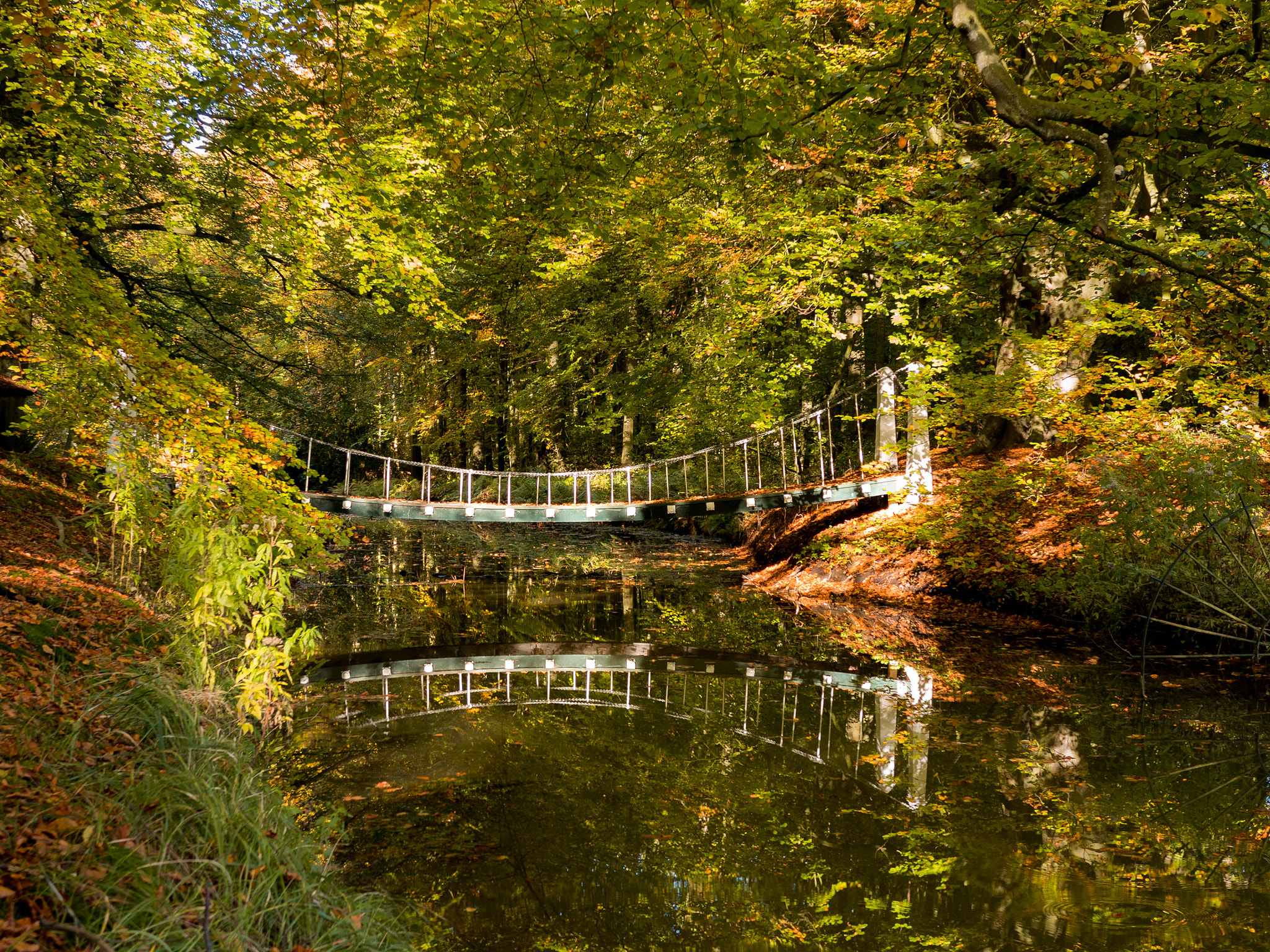 Panasonic Lumix DMC-GX8 + LUMIX G 20/F1.7 II sample photo. Autumn bridge ii photography