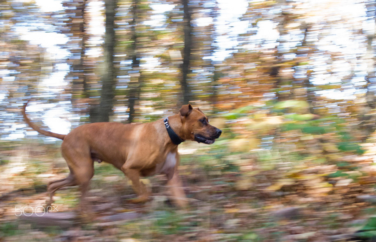 Nikon D80 + AF Zoom-Nikkor 24-50mm f/3.3-4.5 sample photo. Hiking with duncan photography