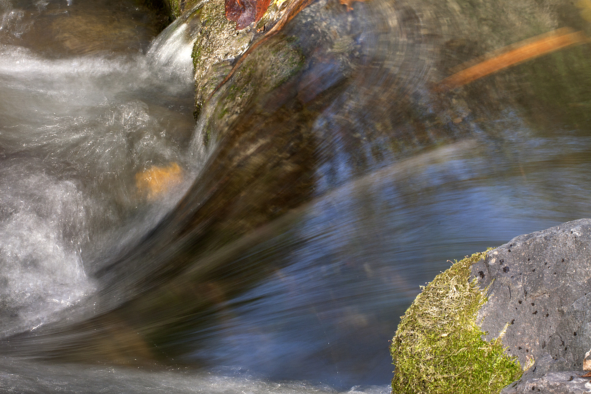 Canon EF 180mm F3.5L Macro USM sample photo. Downhill photography