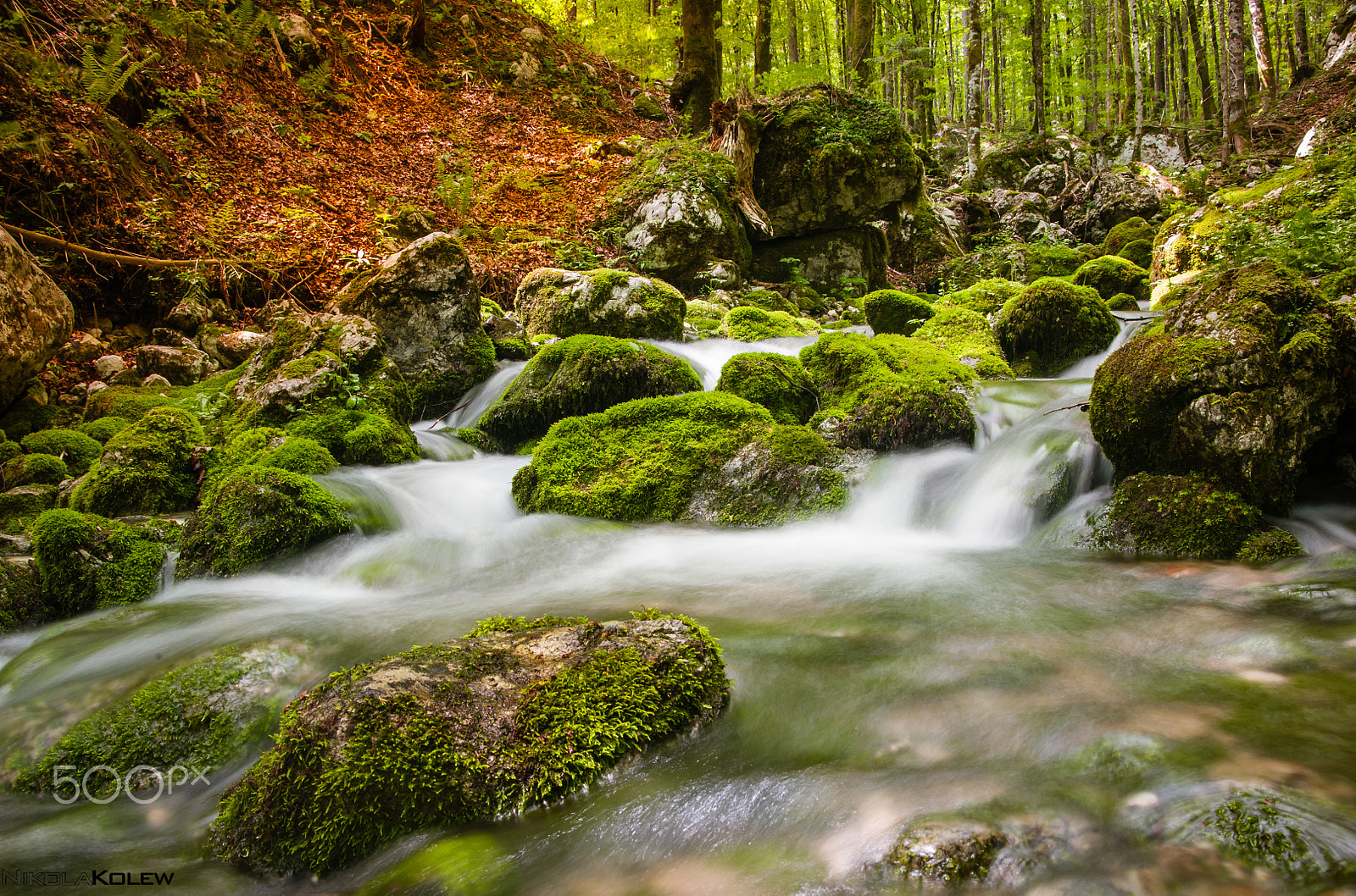 AF Zoom-Nikkor 28-80mm f/3.5-5.6D sample photo. Greenred and white photography