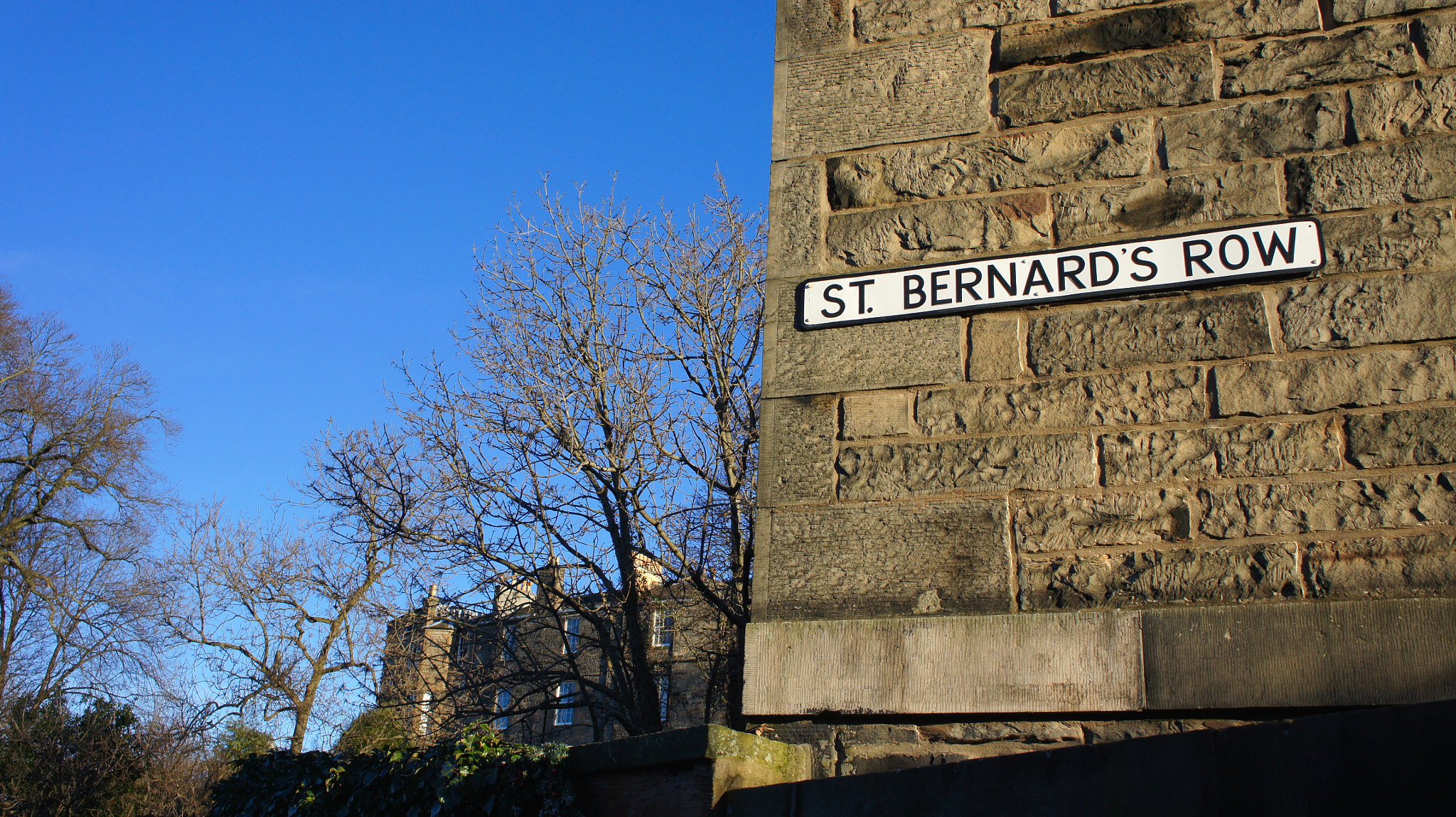 Sony Alpha NEX-5 sample photo. St. bernard's row... photography