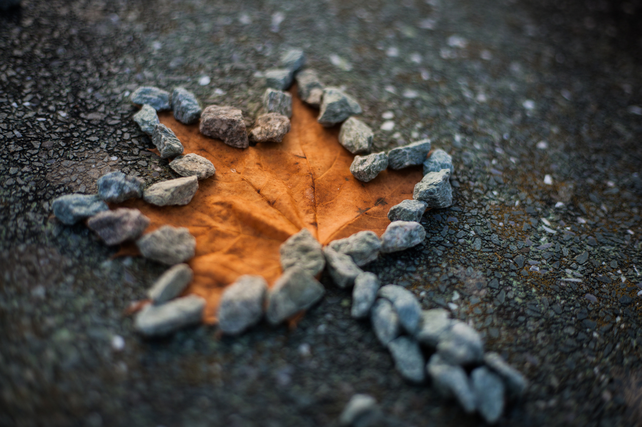 Canon EOS-1Ds Mark III sample photo. Stone-leaf photography
