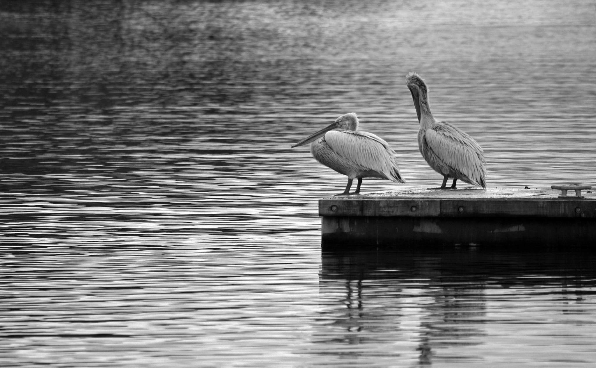 Canon EOS 400D (EOS Digital Rebel XTi / EOS Kiss Digital X) sample photo. On a jetty iii photography