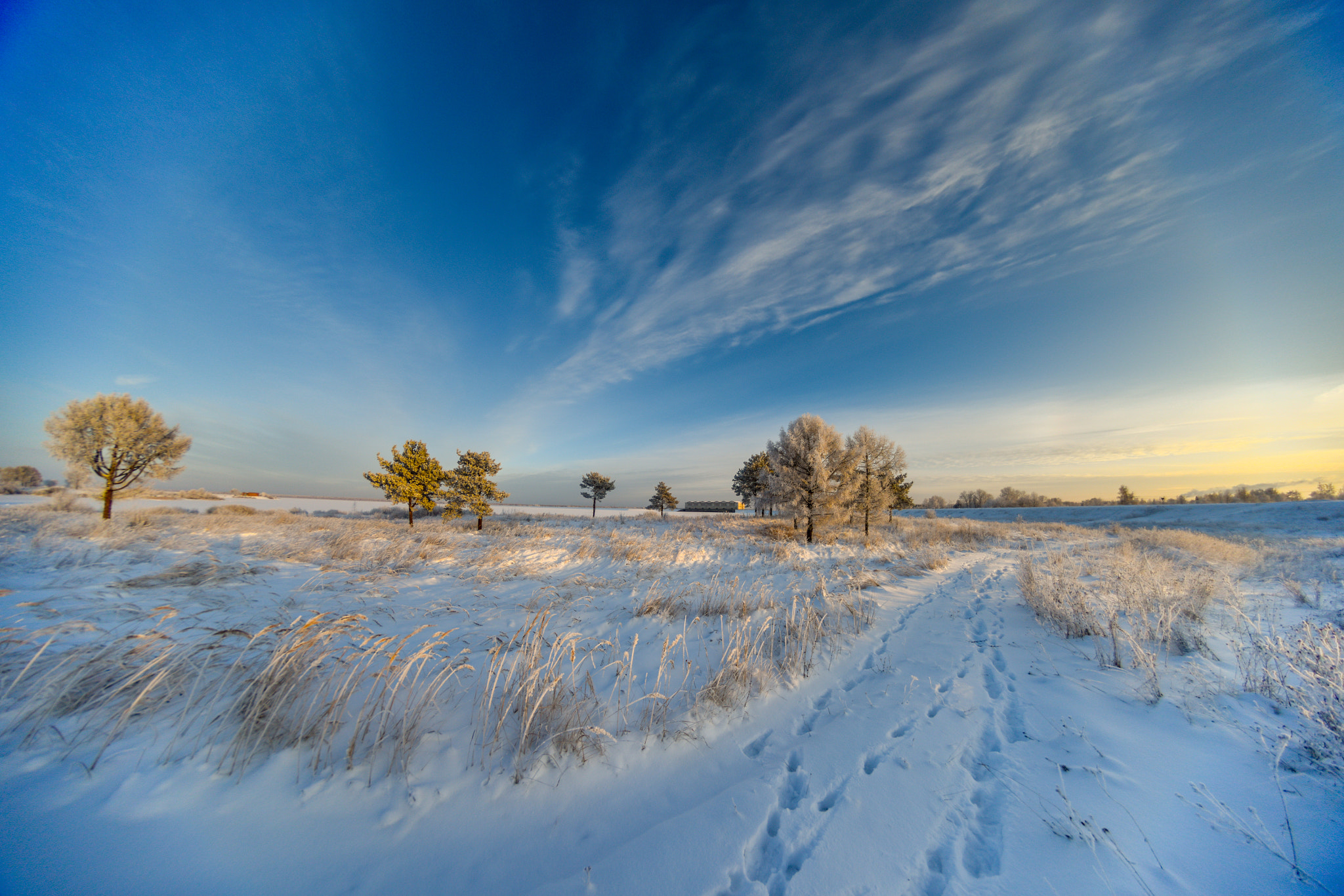 Nikon D810 + Samyang 8mm F3.5 Aspherical IF MC Fisheye sample photo. The geometry of winter photography