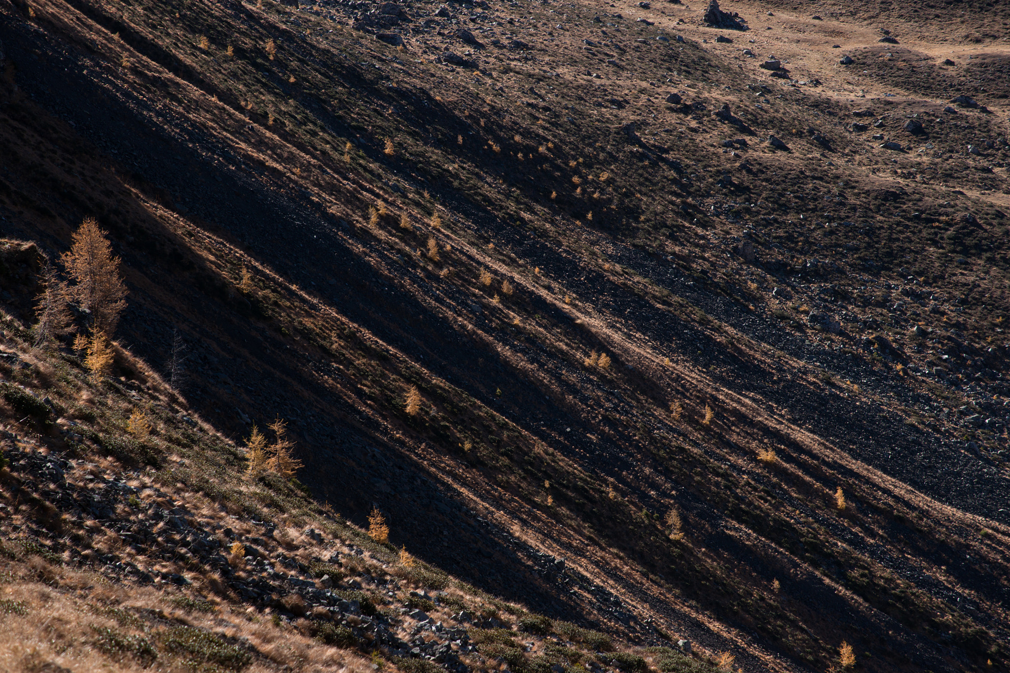Minolta/Sony AF 70-200mm F2.8 G sample photo. Autumn and larches photography