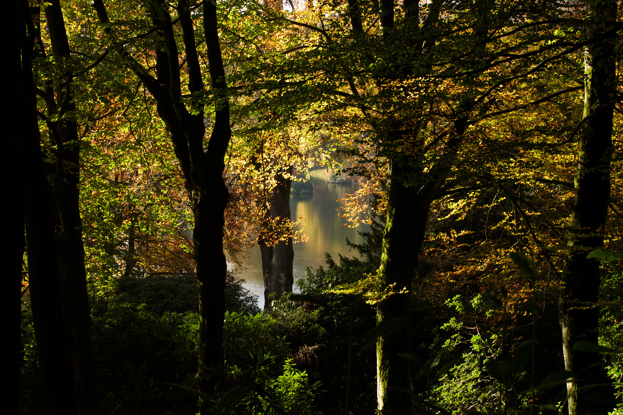 Sony Alpha DSLR-A700 sample photo. Down to the lake photography