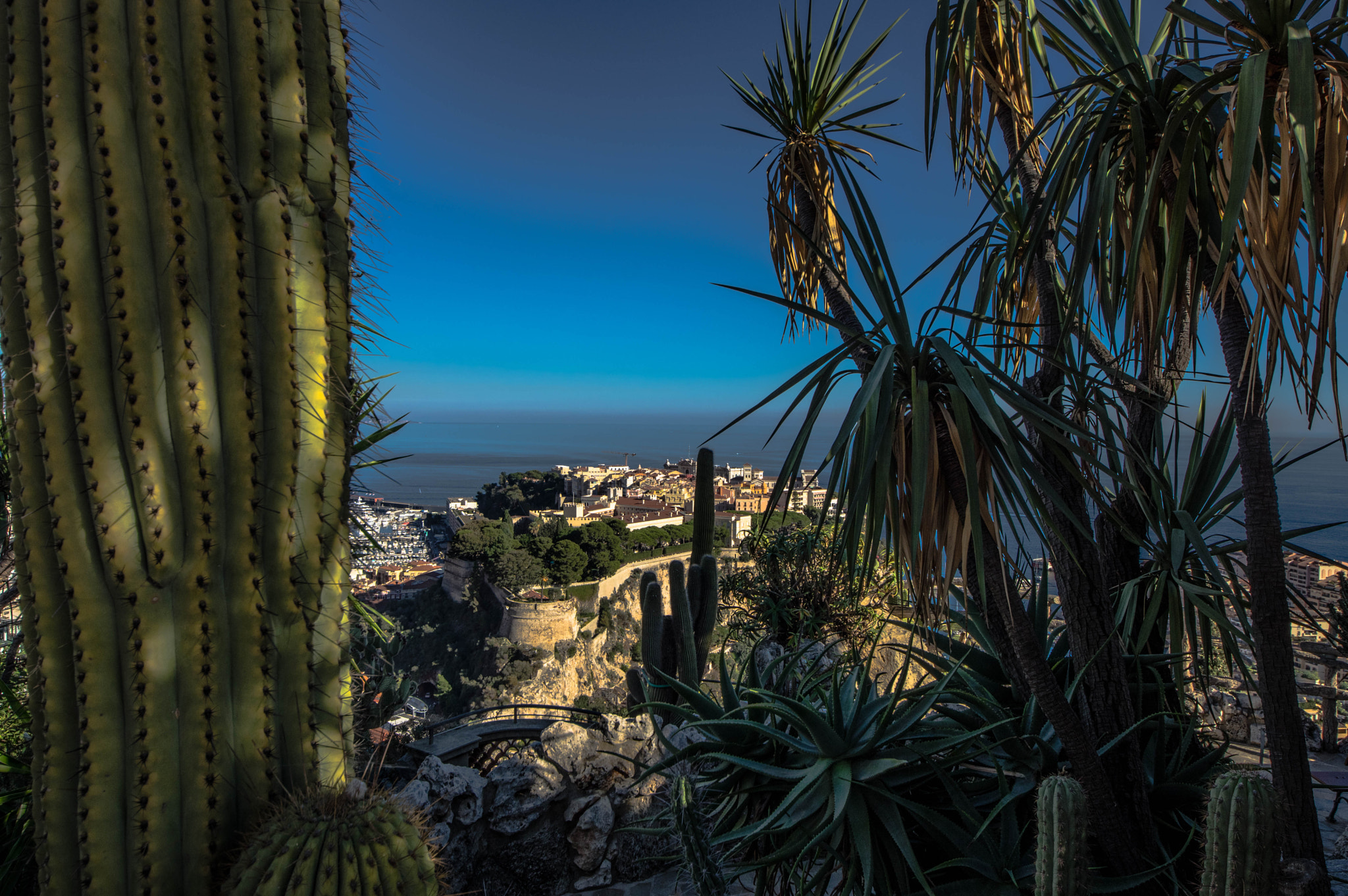 Sigma 8-16mm F4.5-5.6 DC HSM sample photo. Jardin exotique de monaco photography