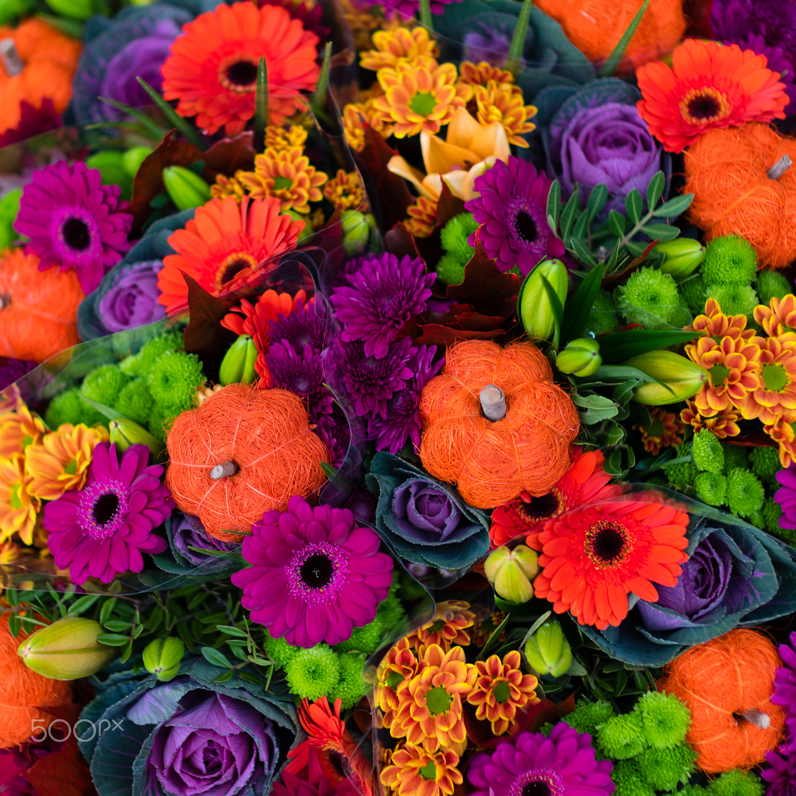 Leica Noctilux-M 50mm F0.95 ASPH sample photo. Some flowers photography
