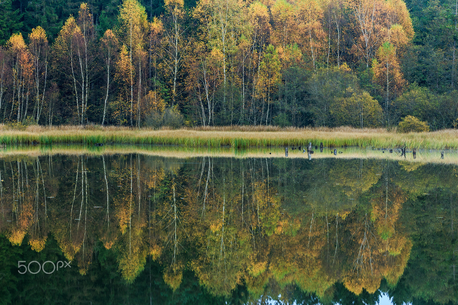 Canon EF 70-200mm F2.8L IS II USM sample photo. Little lake photography