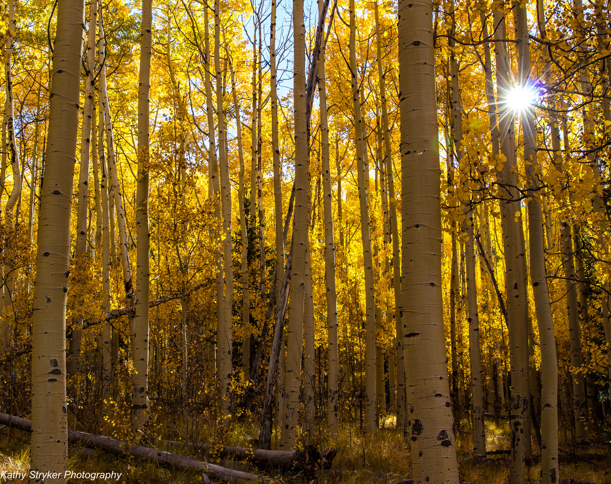 Canon EOS 60D sample photo. Kenosha pass fall sunrise photography