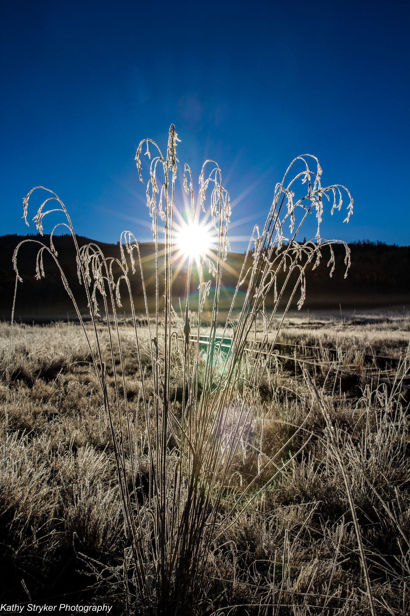 Canon EOS 60D sample photo. Kenosha pass sunrise and frost photography