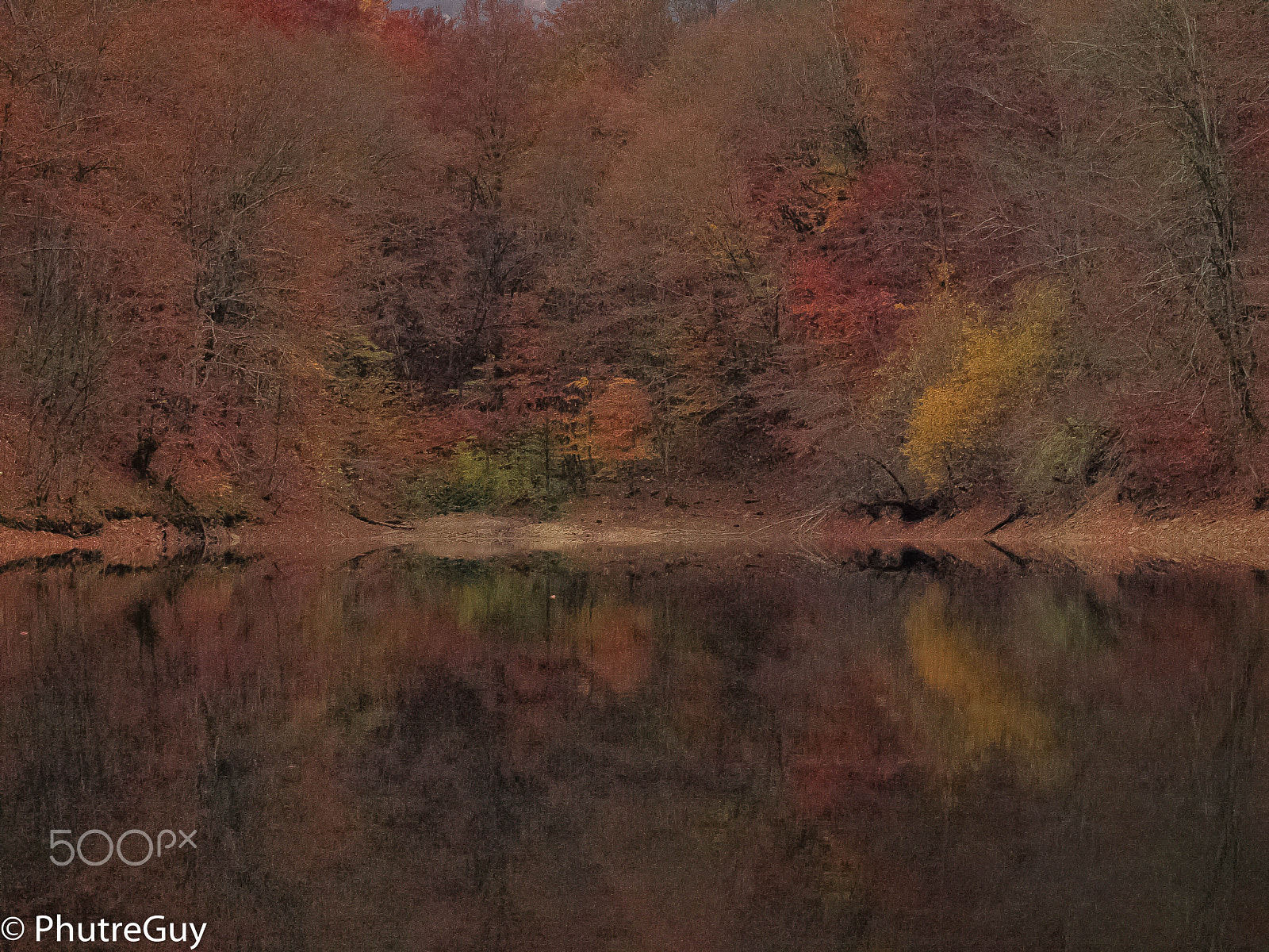 Olympus E-520 (EVOLT E-520) sample photo. Autumn colors photography