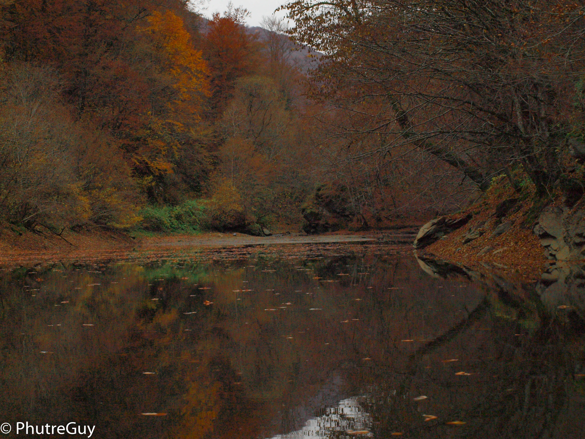 Olympus E-520 (EVOLT E-520) sample photo. Autumn colors photography