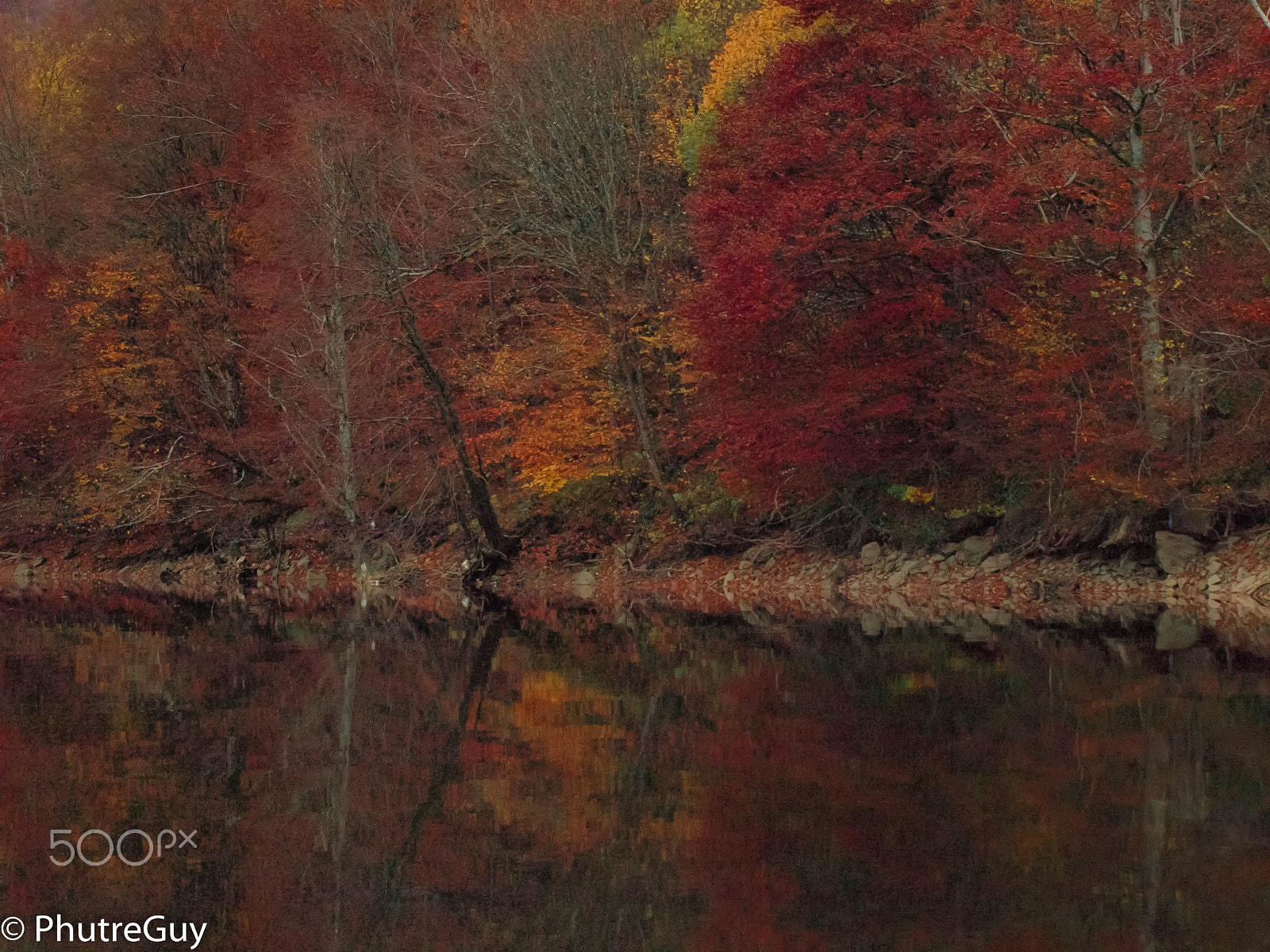 Olympus Zuiko Digital ED 40-150mm F4.0-5.6 sample photo. Autumn colors photography