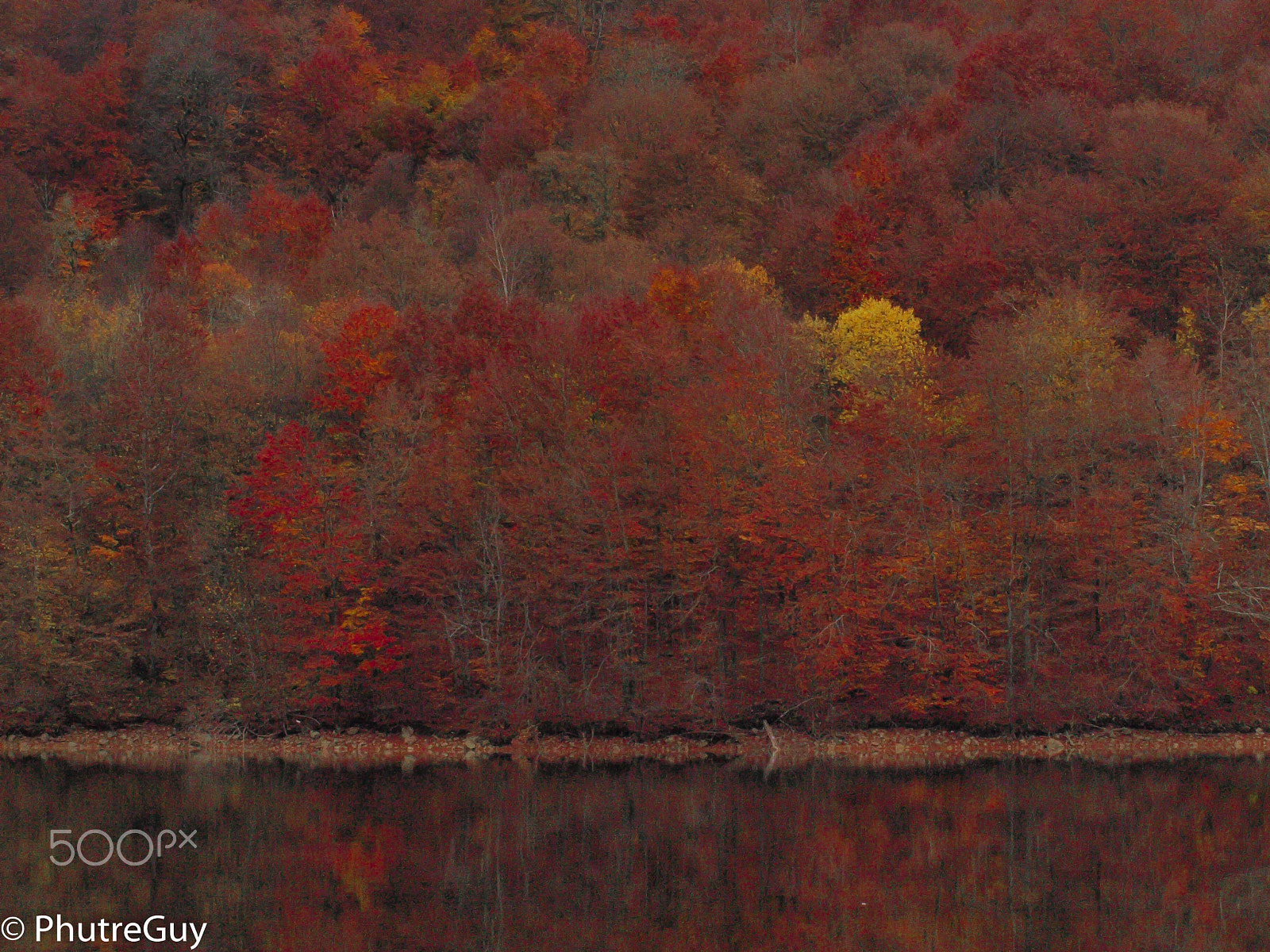 Olympus Zuiko Digital ED 40-150mm F4.0-5.6 sample photo. Autumn colors photography