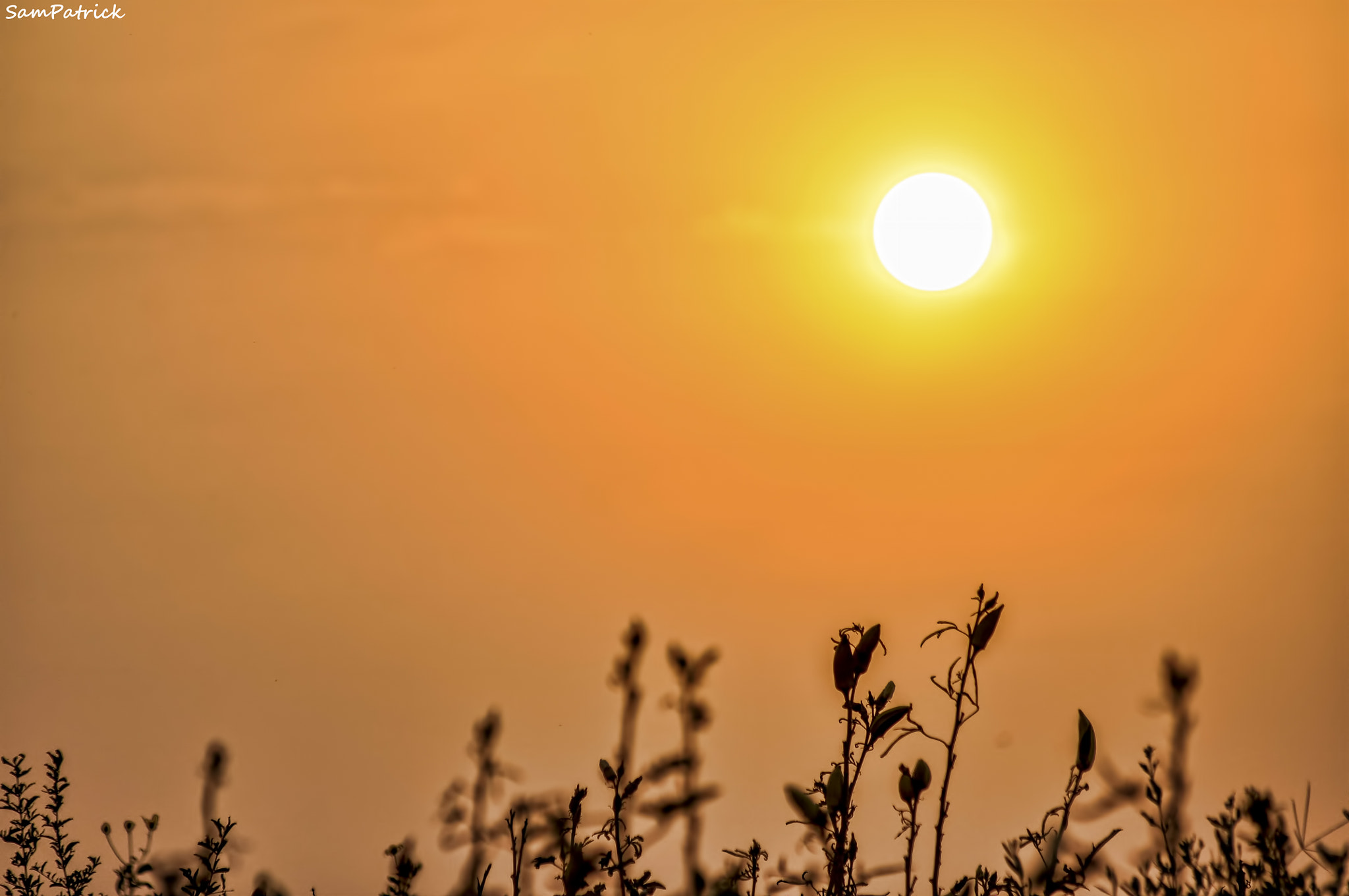 Sigma 70-300mm F4-5.6 APO DG Macro sample photo. When sun wants to sleep photography