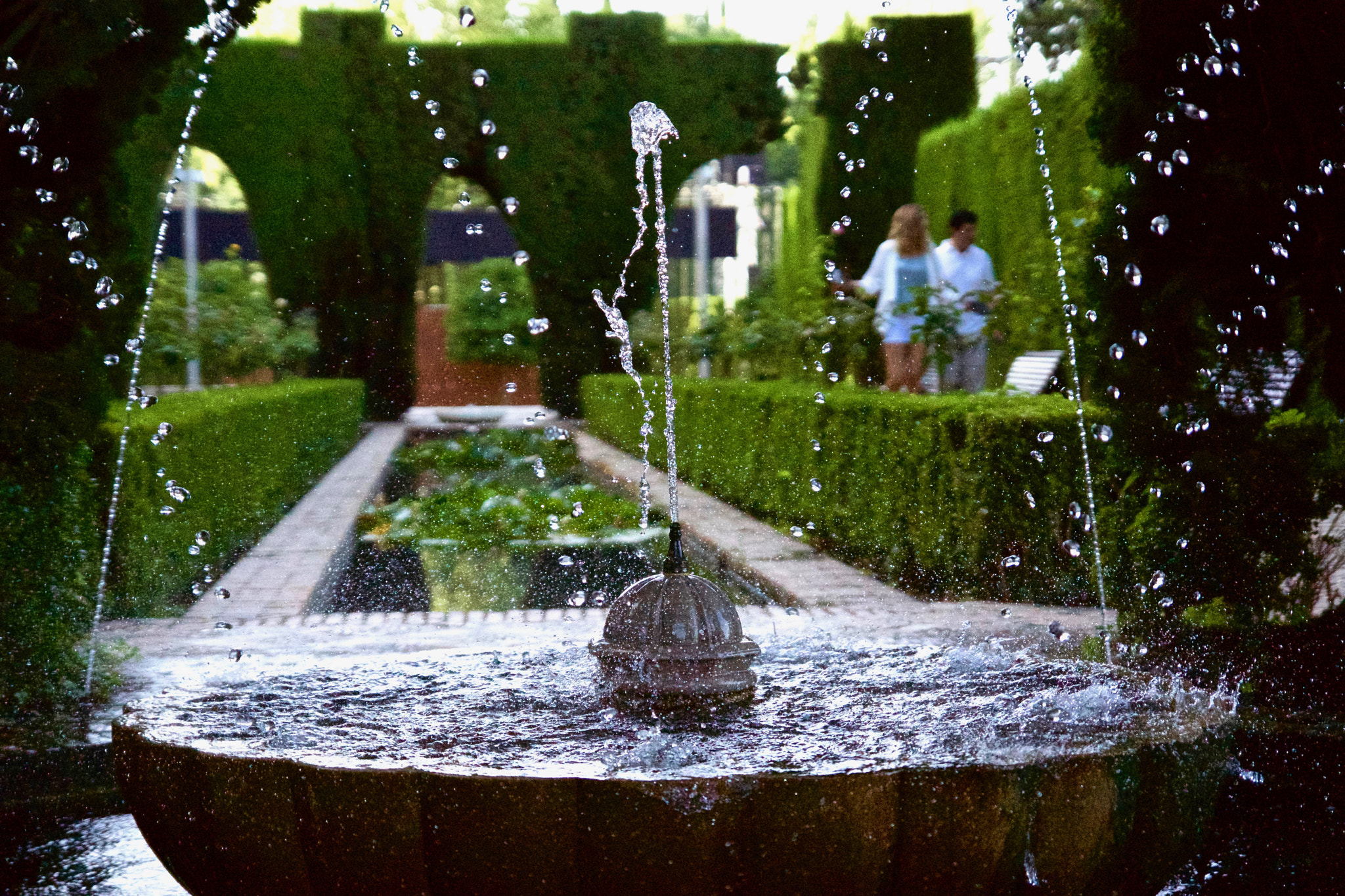 Sony SLT-A77 sample photo. Garden of el generalife photography