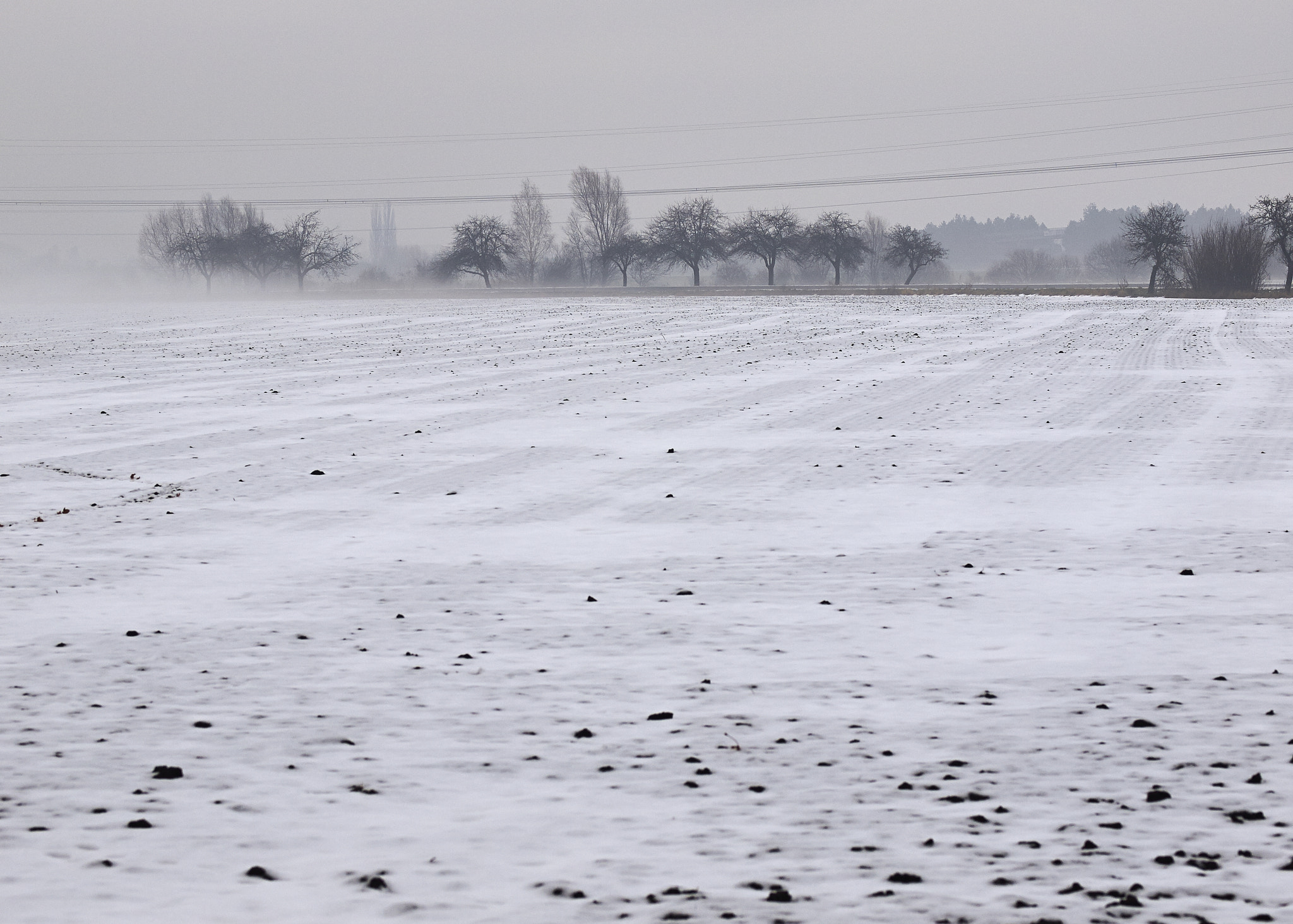 Olympus E-5 + OLYMPUS 50mm Lens sample photo. The winter photography