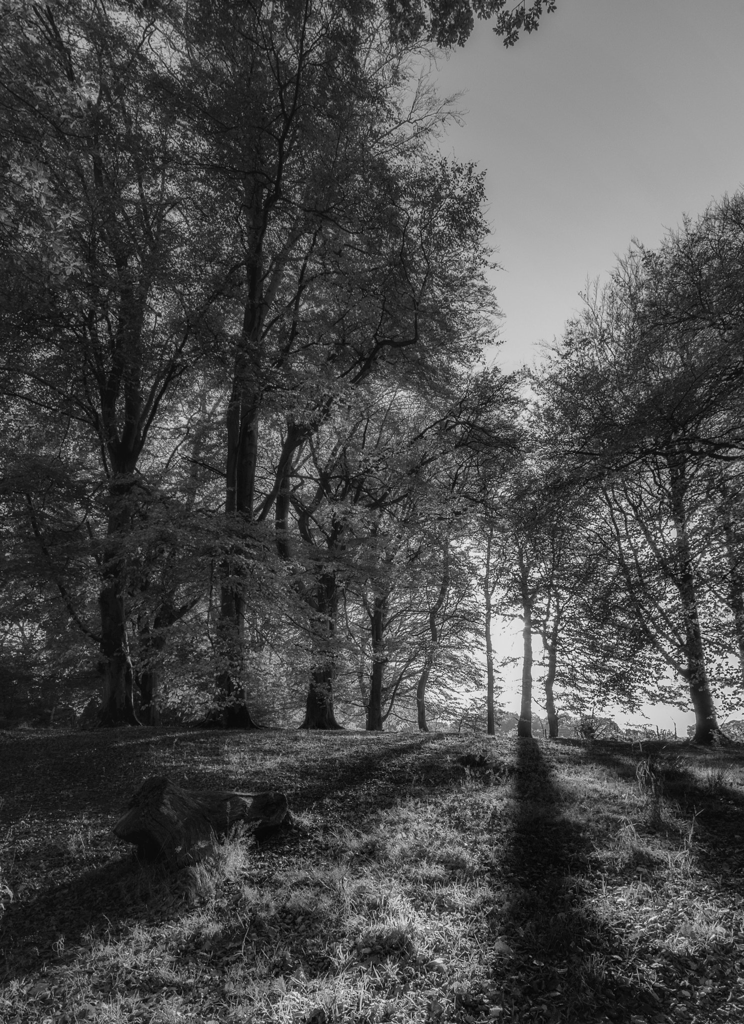 Sigma 10-20mm F4-5.6 EX DC HSM sample photo. Shadows photography