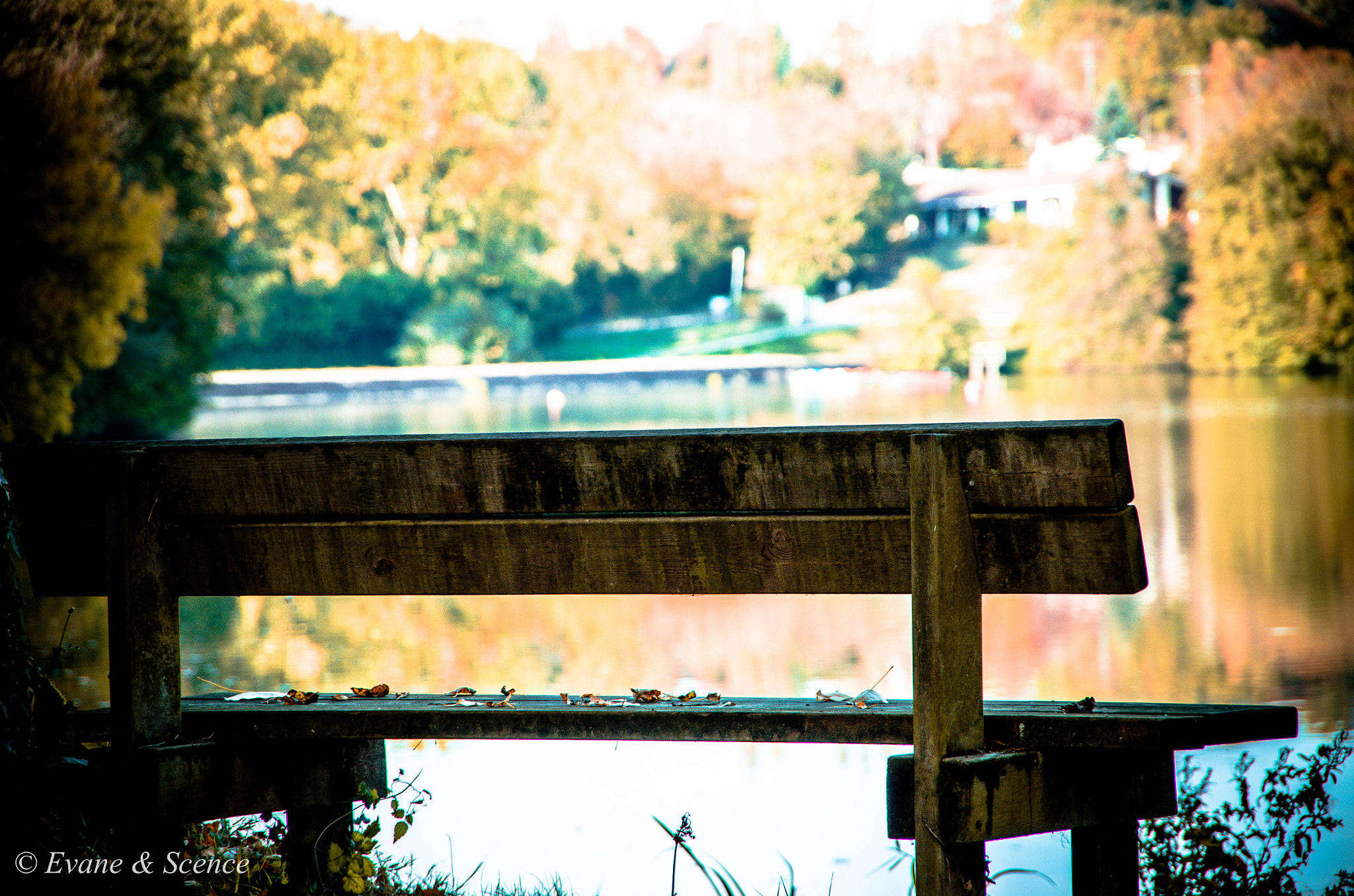 Pentax K-5 II sample photo. Imgp photography