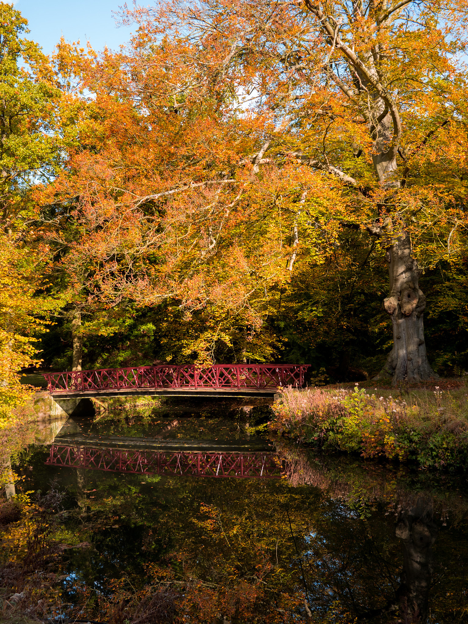 Panasonic Lumix DMC-GX8 + LUMIX G 20/F1.7 II sample photo. Red bridge vs red leaves photography