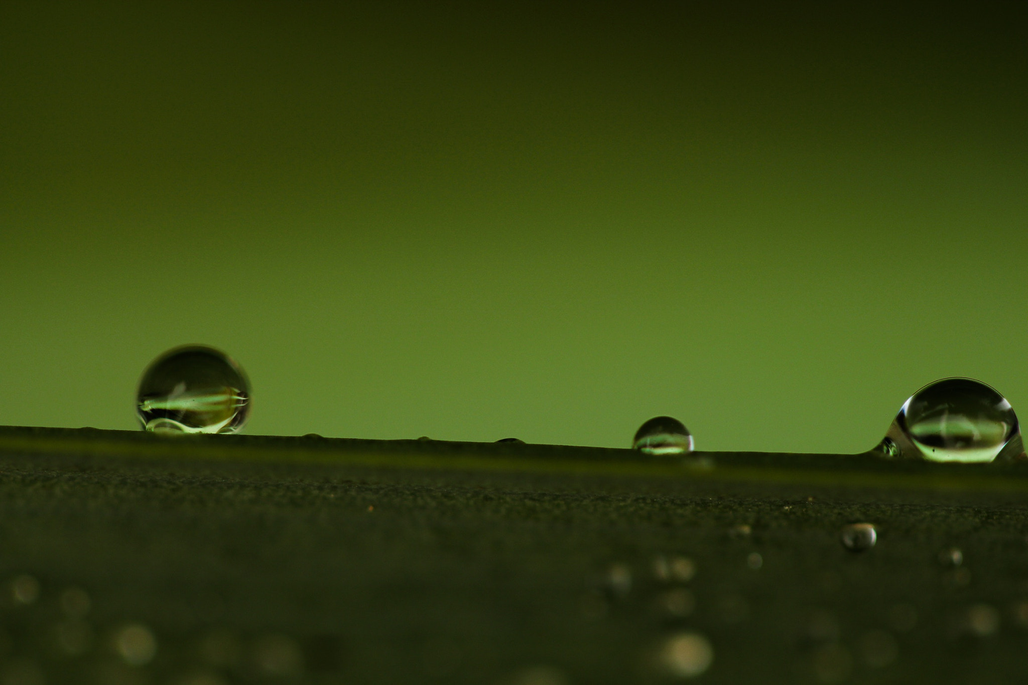 Canon EF 100mm F2.8 Macro USM sample photo. A small raindrop photography