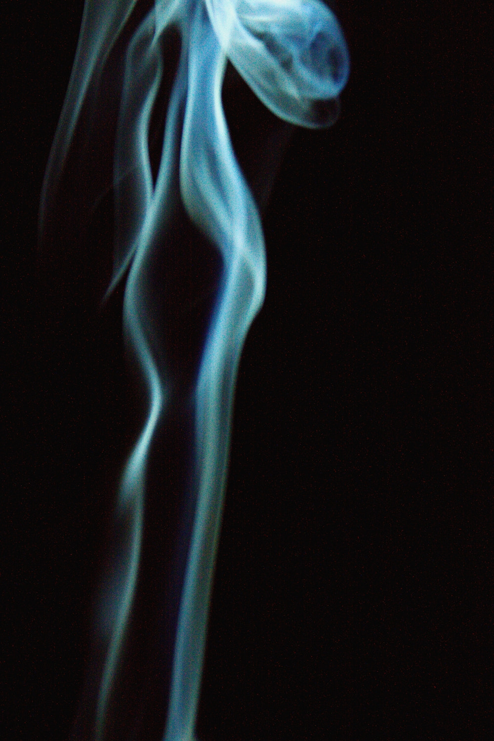 Canon EOS 50D sample photo. Smoke creature photography