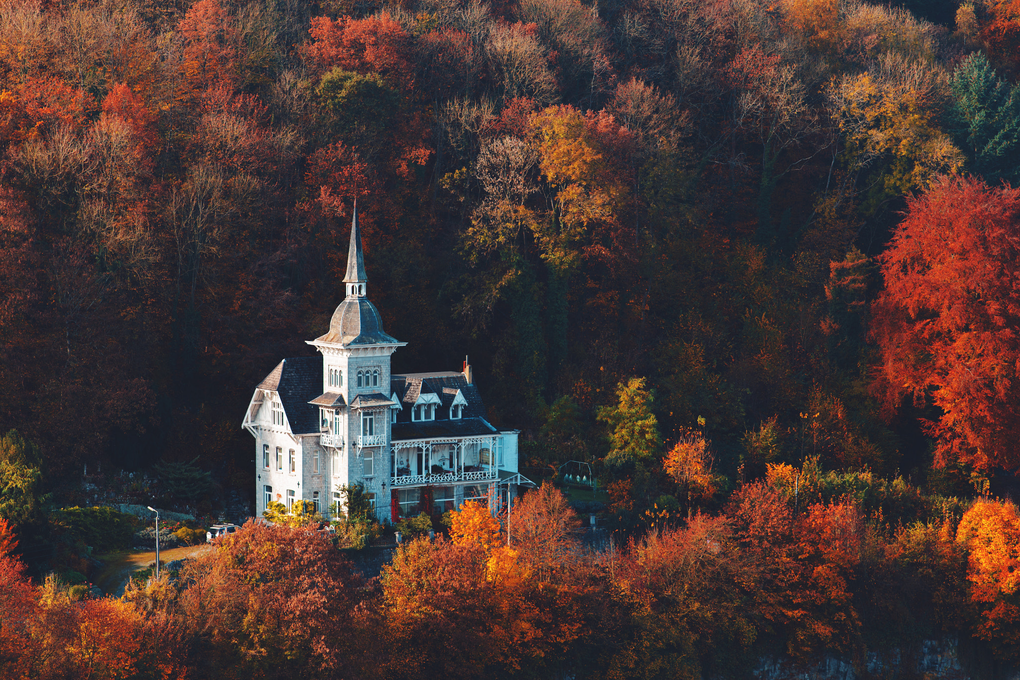 Canon EF 200mm F2.8L II USM sample photo. Palace in autumn, dinant photography